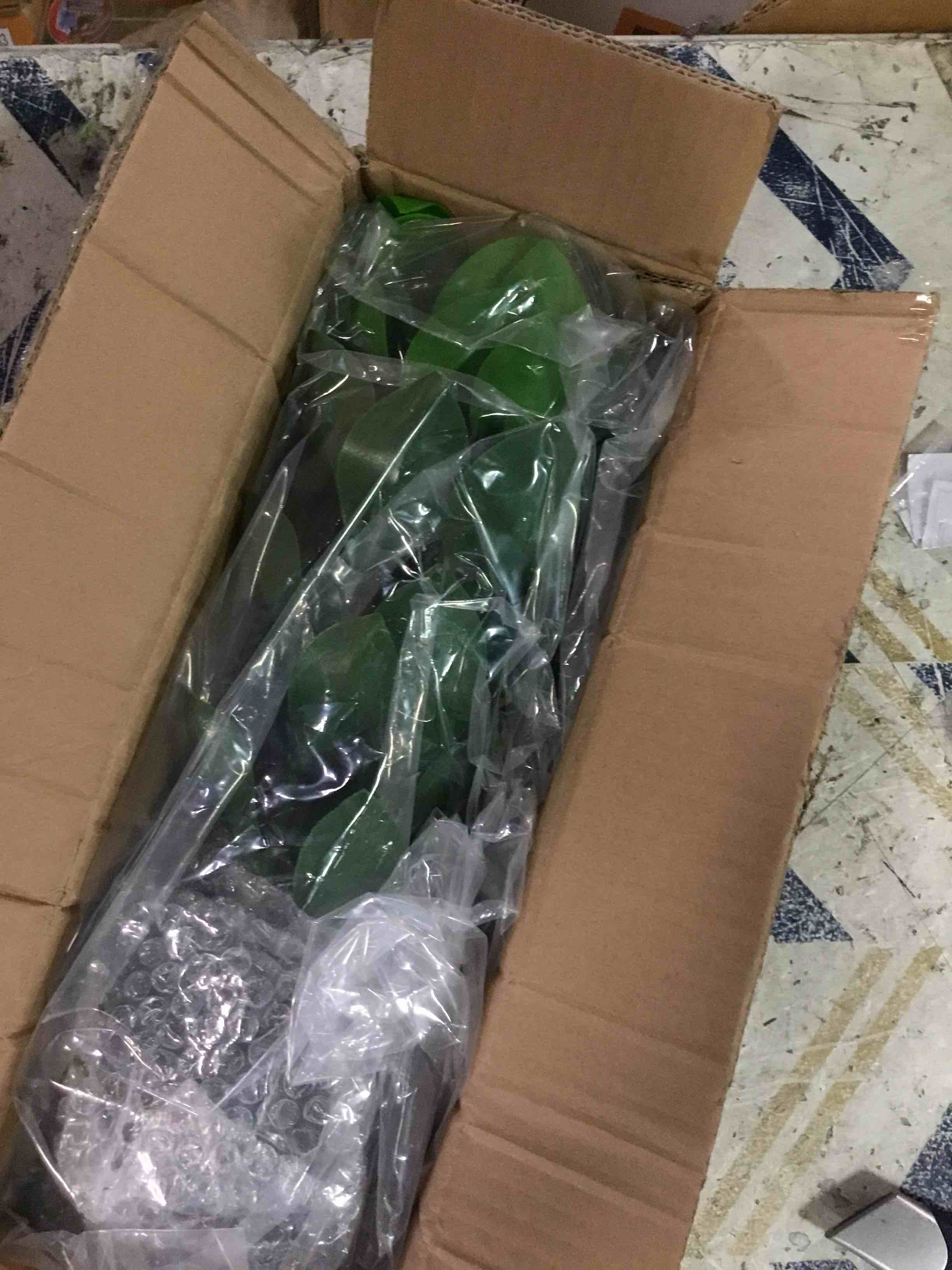 https://s3.amazonaws.com/lotting-images-prod/bidfta/ORG6488804_1717786771431.jpeg