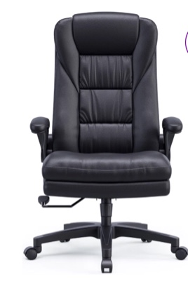 Kayleen Ergonomic Executive Chair
