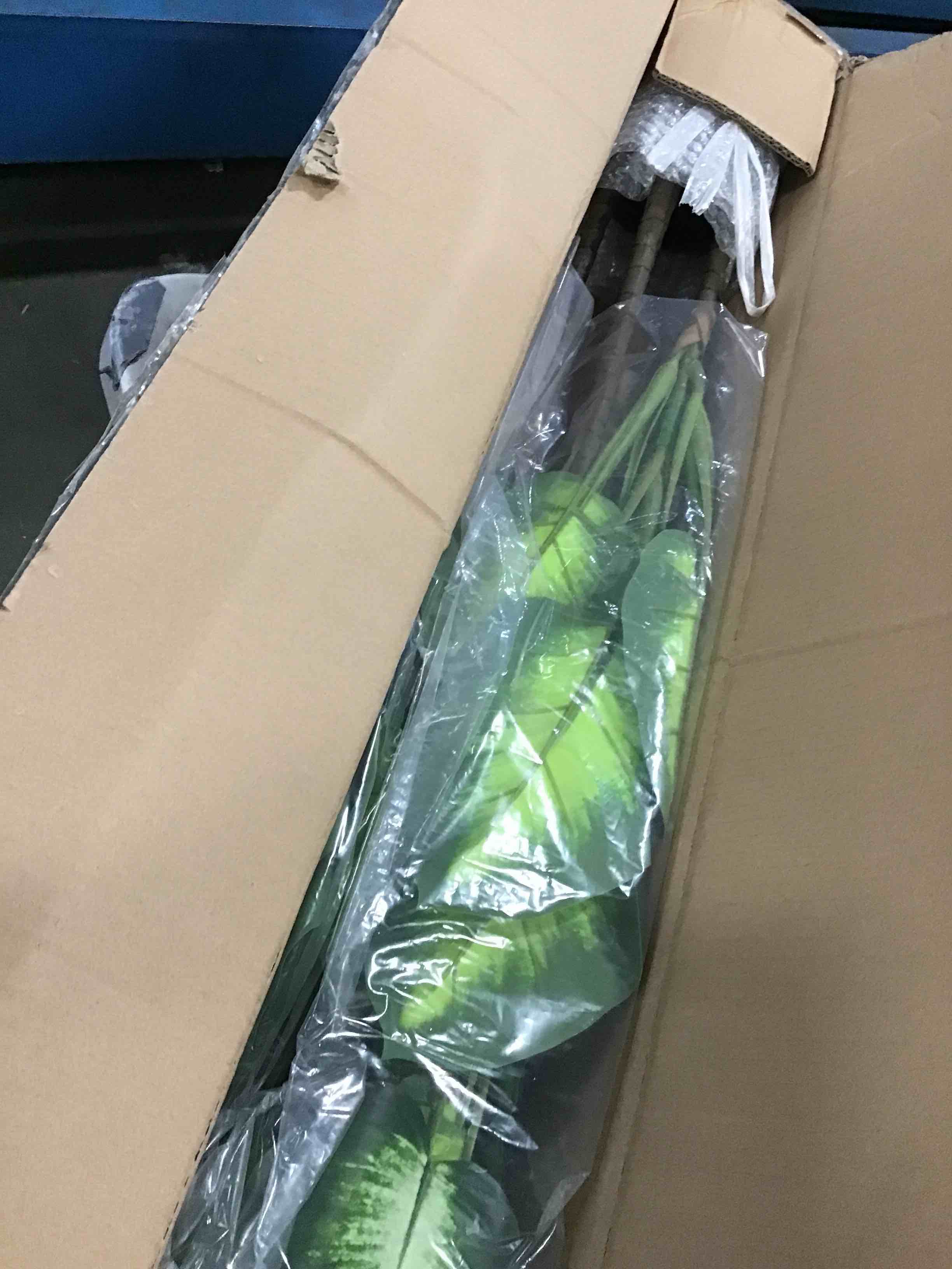 https://s3.amazonaws.com/lotting-images-prod/bidfta/ORG6601170_1715959386060.jpeg