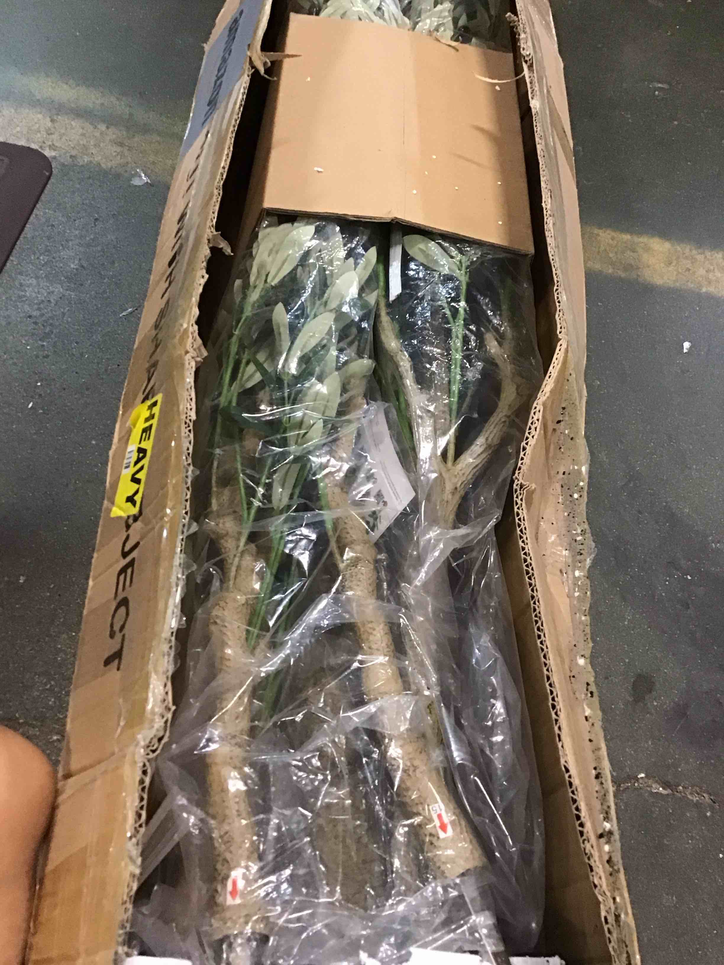 https://s3.amazonaws.com/lotting-images-prod/bidfta/ORG6621273_1716395876989.jpeg