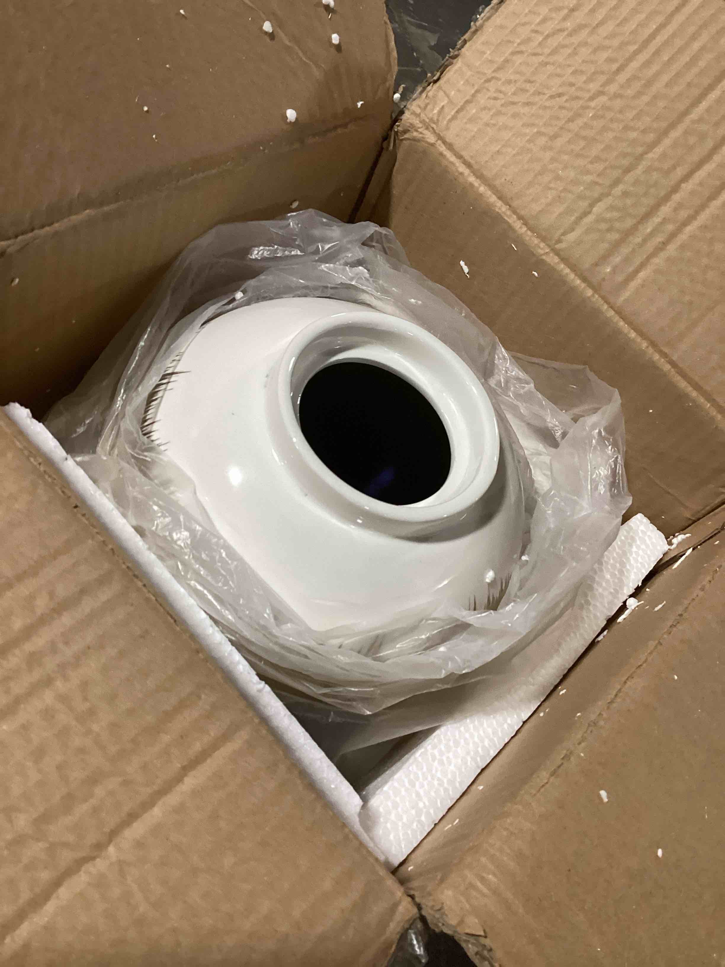 Jordayn Ceramic Ginger Jar