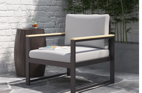 Deandre Patio Chair with Cushions