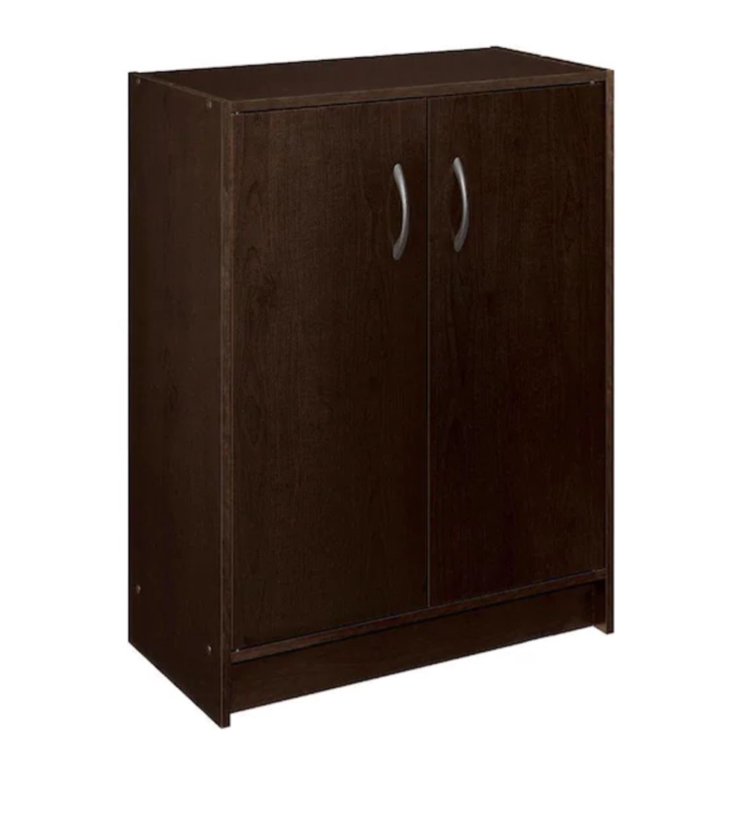 Storage 2 Door Accent Cabinet