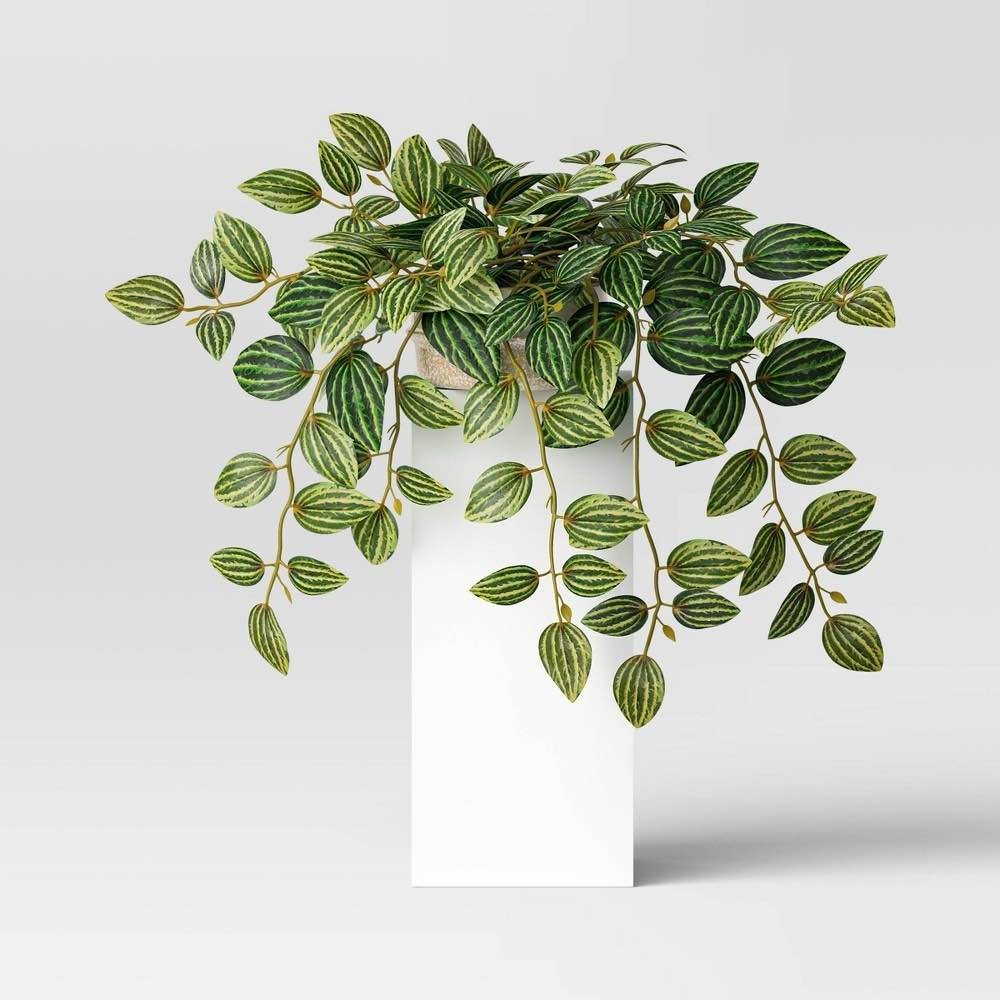 Artificial Trailing Zebra Plant Dark - Threshold™