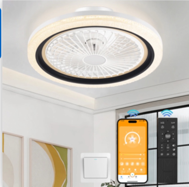 20" Enclosed Ceiling Fan Light Remote Dimmable Chandelier Light with Fan Reversible 6 Speeds Crystal