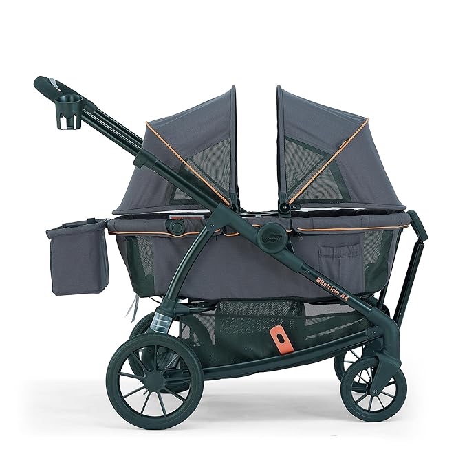 Pamo Babe All-Terrain Wagon Stroller for Two Kids, Double Stroller with Push or Pull Handle, Canopy, Storage Basket, Dinner Plate, Oversized Damping Wheels, Mosquito Net and Rain Cover Grey