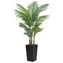 ASTIDY Artificial Palm Tree 5FT - Fake Tree with Black Tall Planter - Faux Tropical Areca Floor Plant in Pot - Artificial Silk Plant for Home Office Living Room Decor Indoor