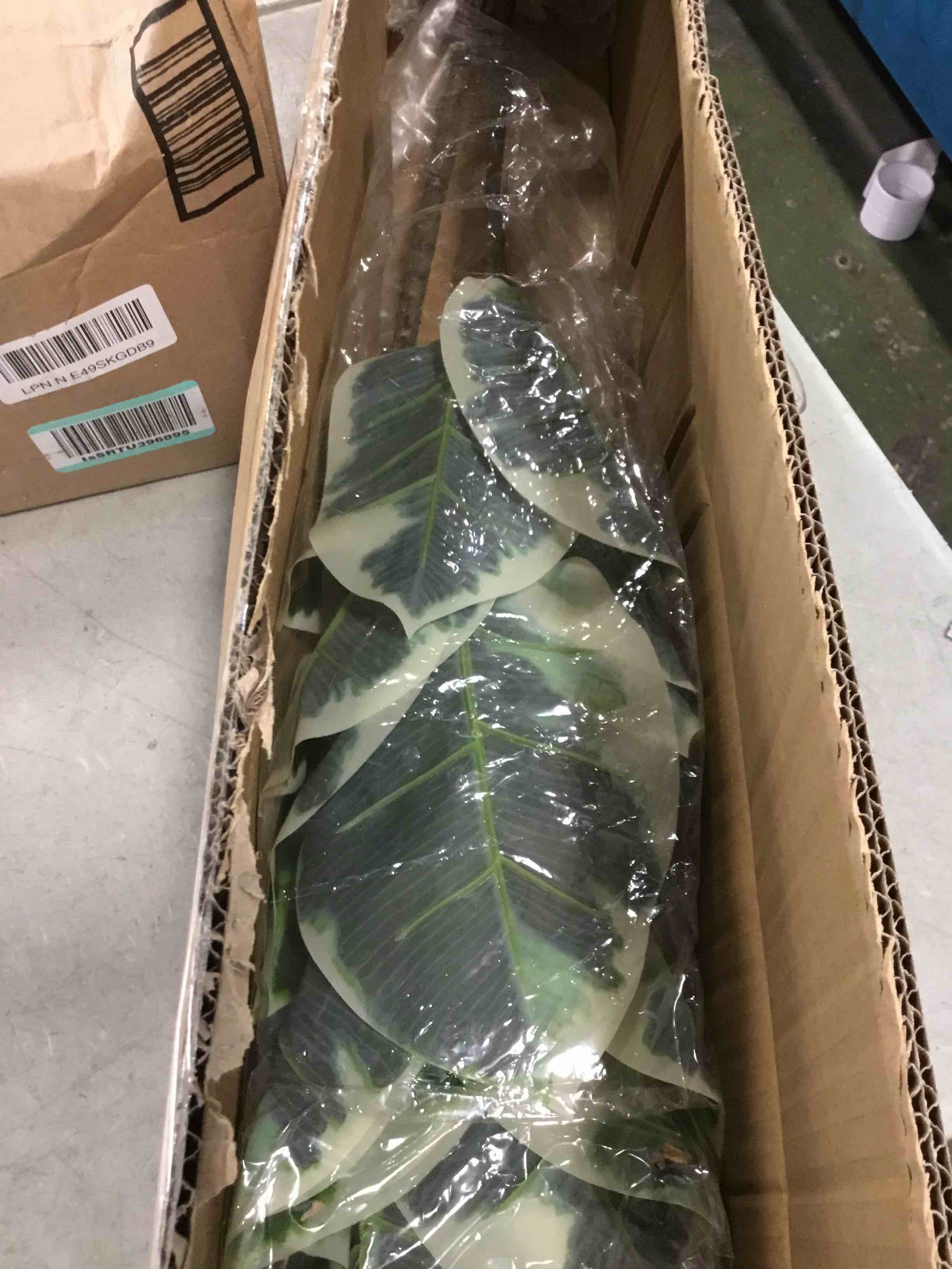 FLOWORLD Artificial Rubber Tree Plant 43in Tall Faux Ficus Tree Potted