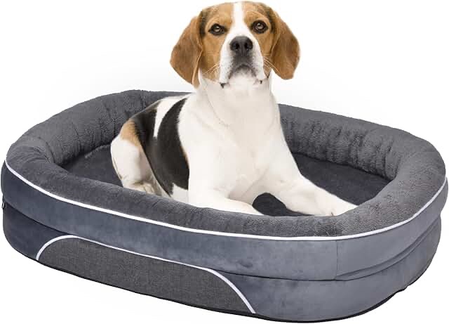 Orthopedic Foam XLarge Dog Bed - Machine Washable Cover for Extra Large Dog Bed 