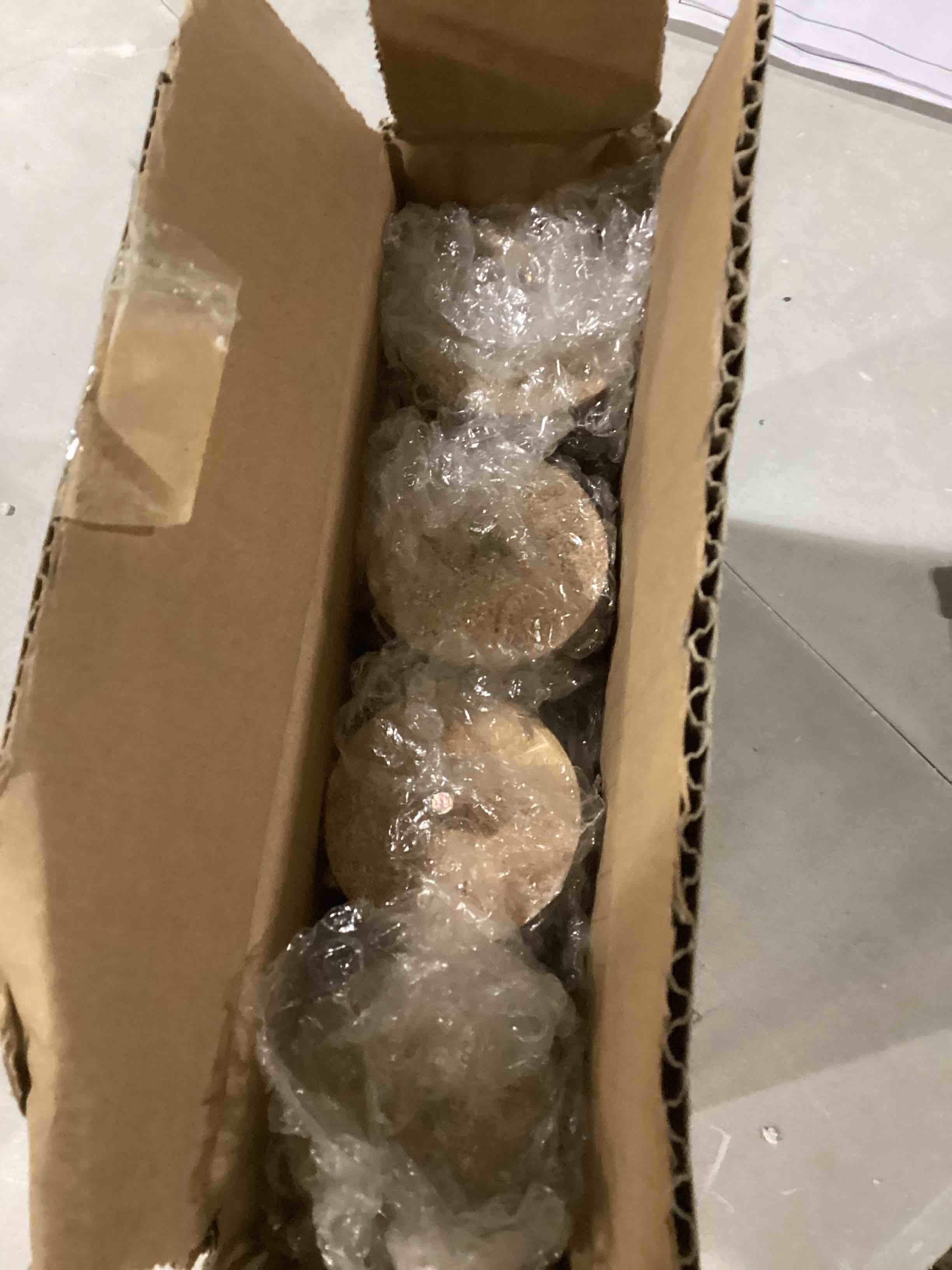 https://s3.amazonaws.com/lotting-images-prod/bidfta/ORG6842137_1735840015781.jpeg