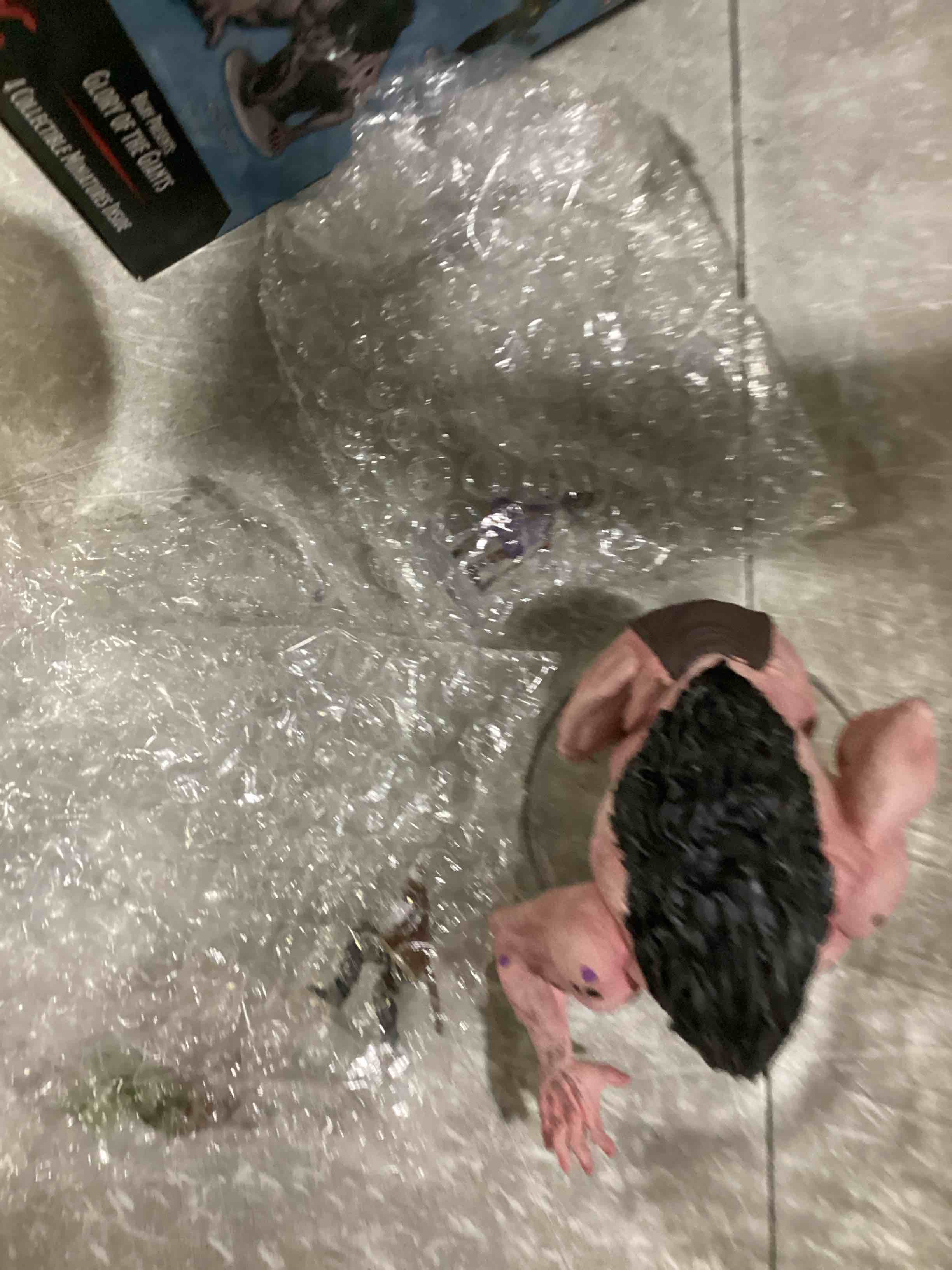 https://s3.amazonaws.com/lotting-images-prod/bidfta/ORG6844391_1737728510768.jpeg