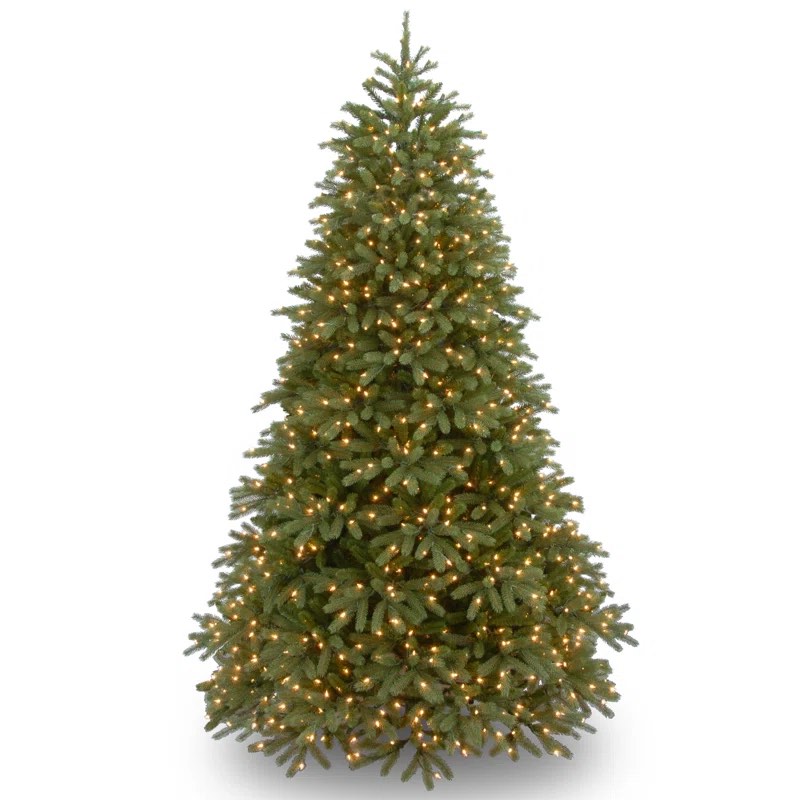 Jersey Fraser Fir Medium Tree with Dual Color LED Lights