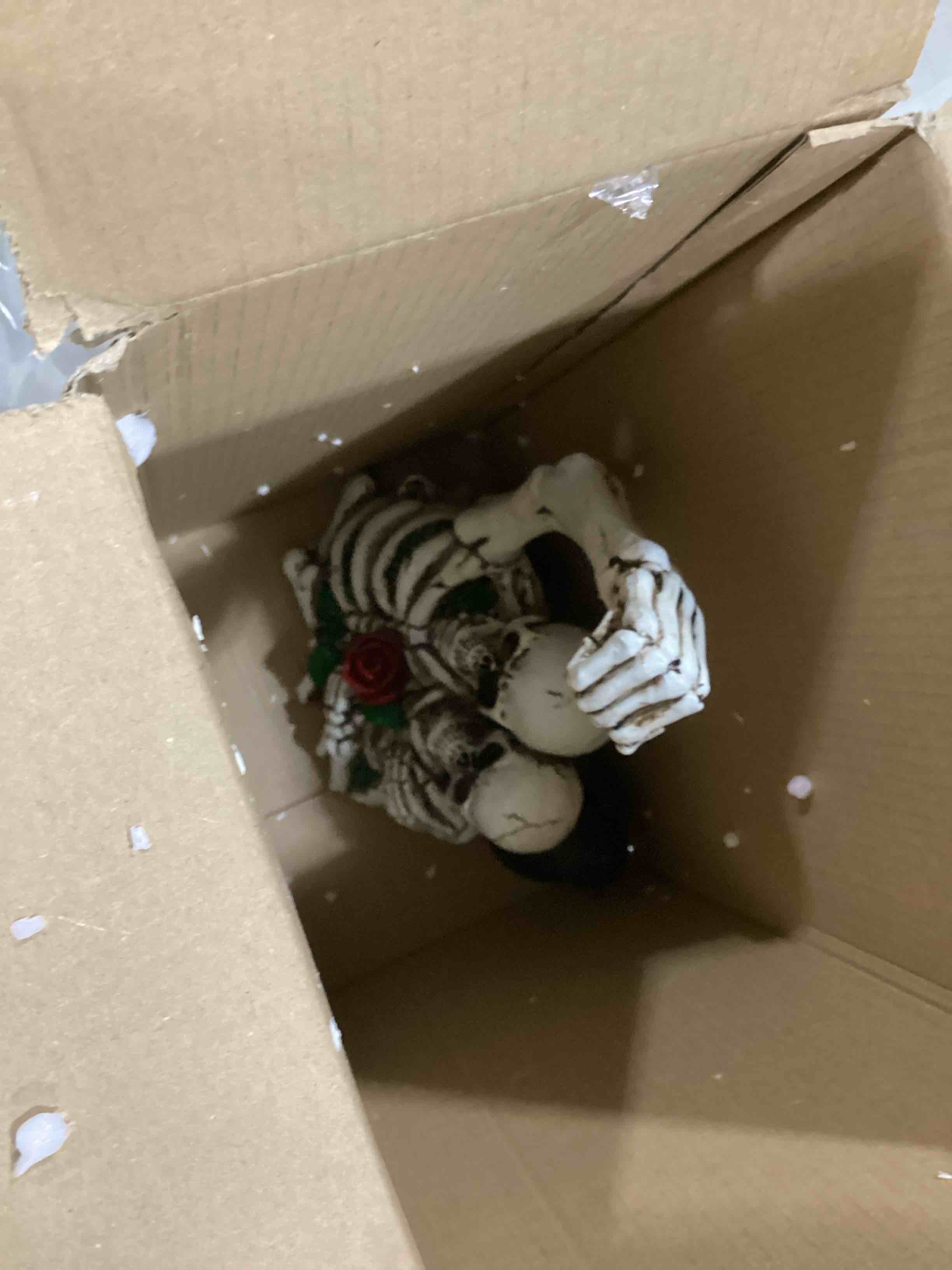 https://s3.amazonaws.com/lotting-images-prod/bidfta/ORG6866381_1731689786670.jpeg