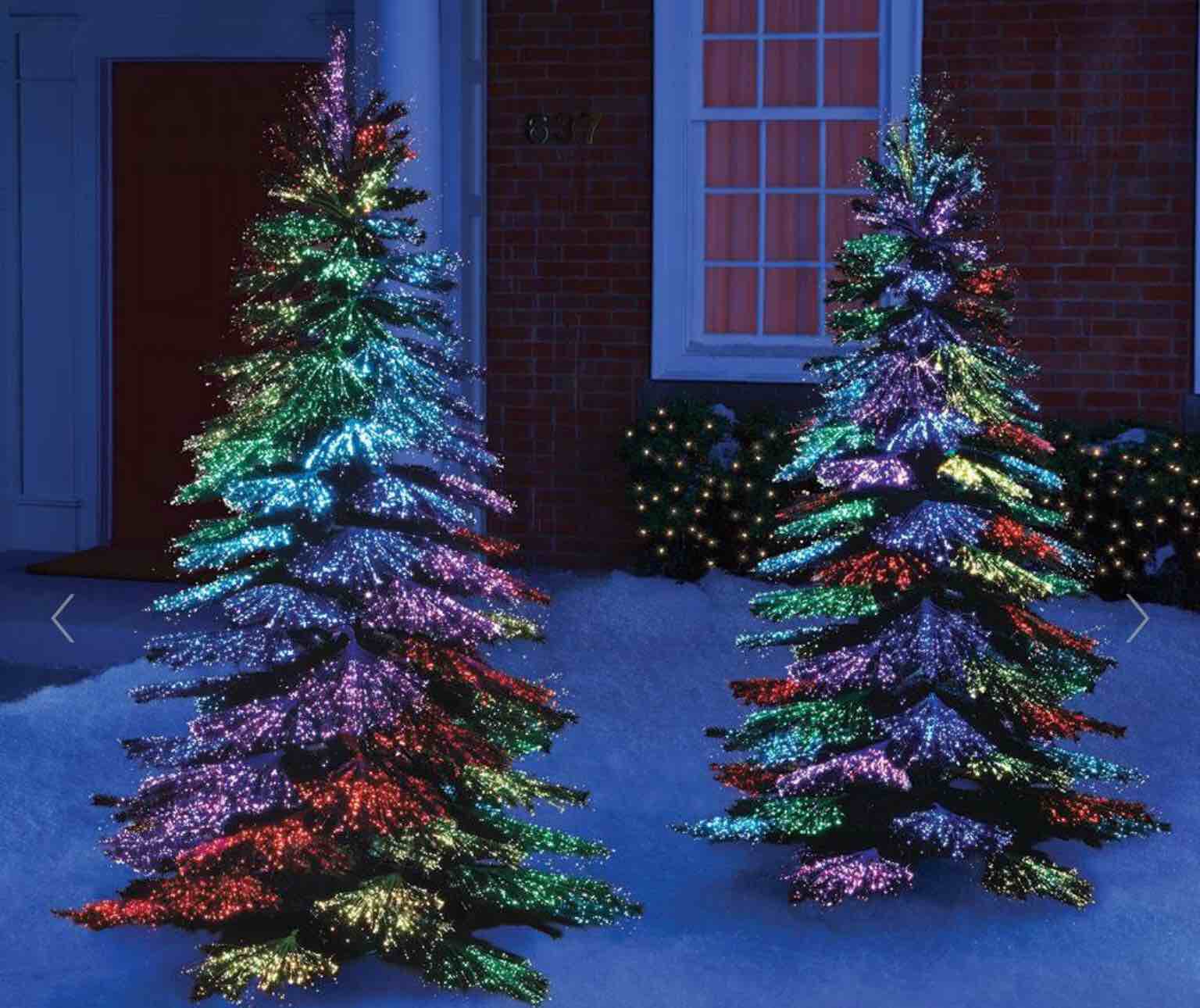 The Thousand Points of Light Tree