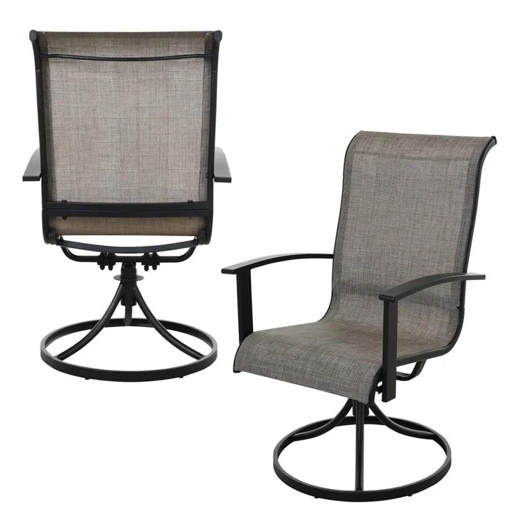 Errik Outdoor Dining Armchair with Cushion (Set of 2)