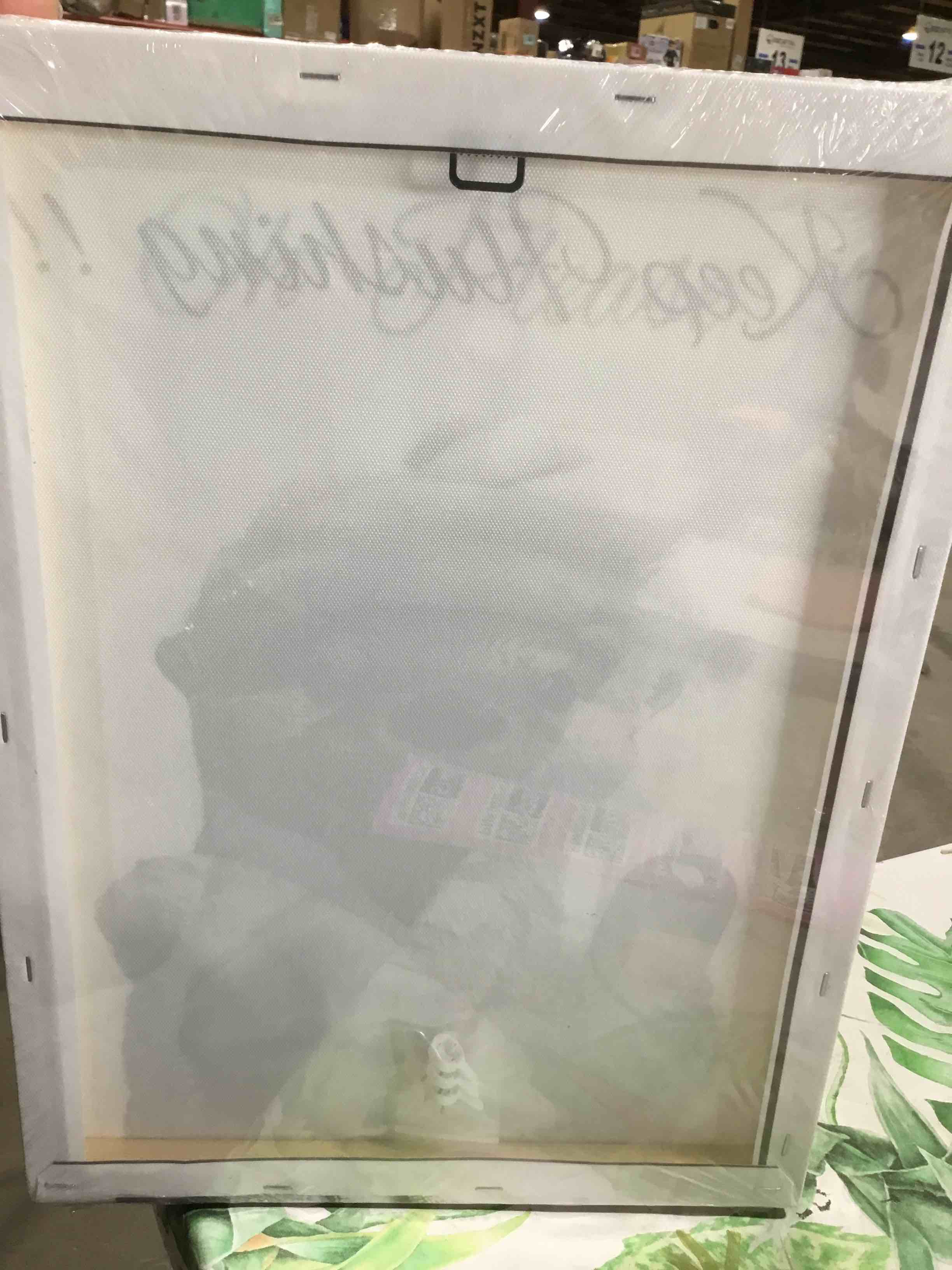 Condition photo showing New/Like New for SYWENNOI Framed Black and White Bathroom Canvas Wall Art, Funny Otter Is Getting Ready Bath Wall Decor, Farmhouse Humor Animal Art Prints for Restroom Decoration Ready to Hang 8x10 Inches