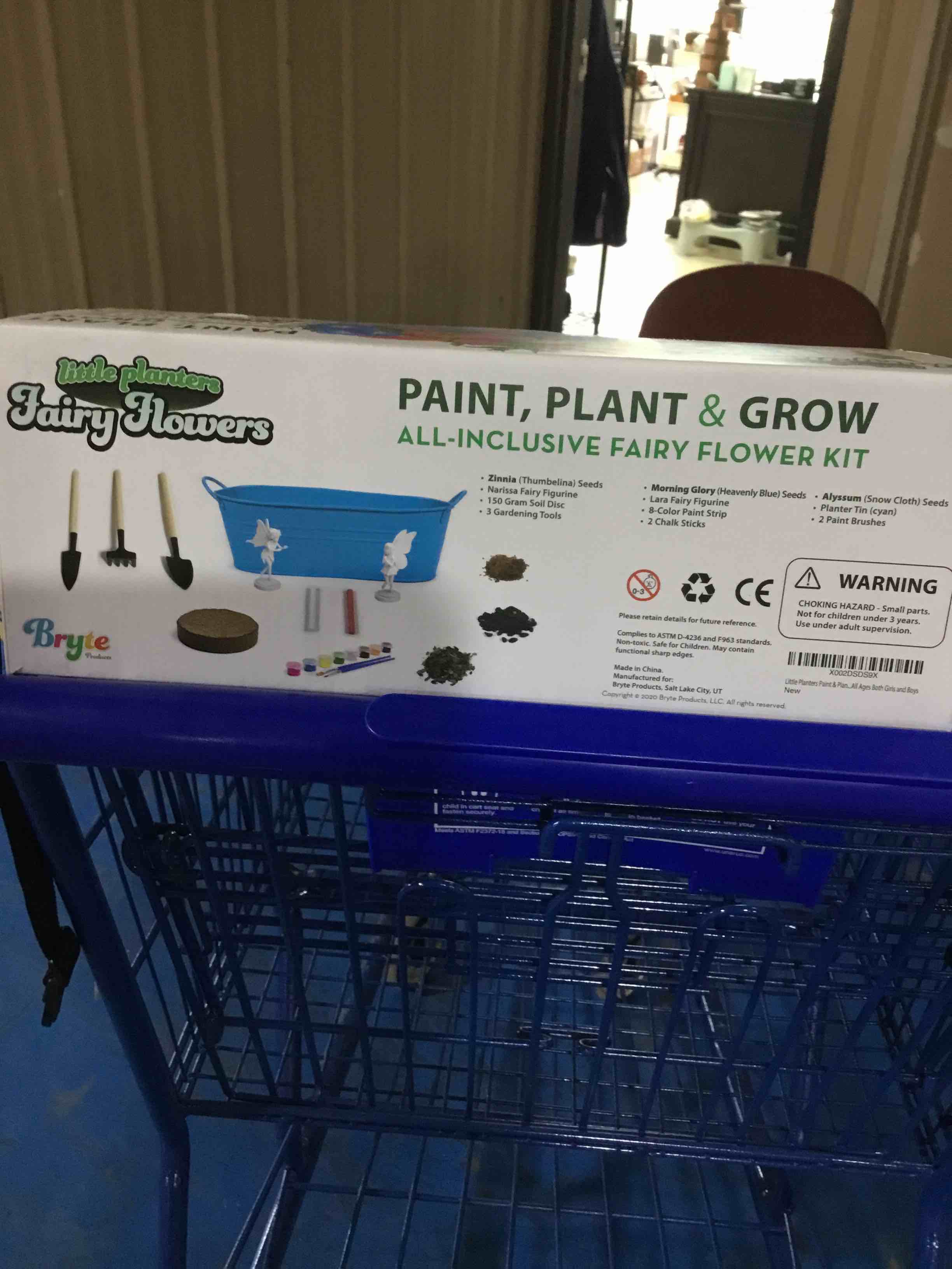 Paint Plant Grow