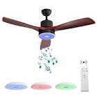 Asall Multi functional music ceiling fan lamp