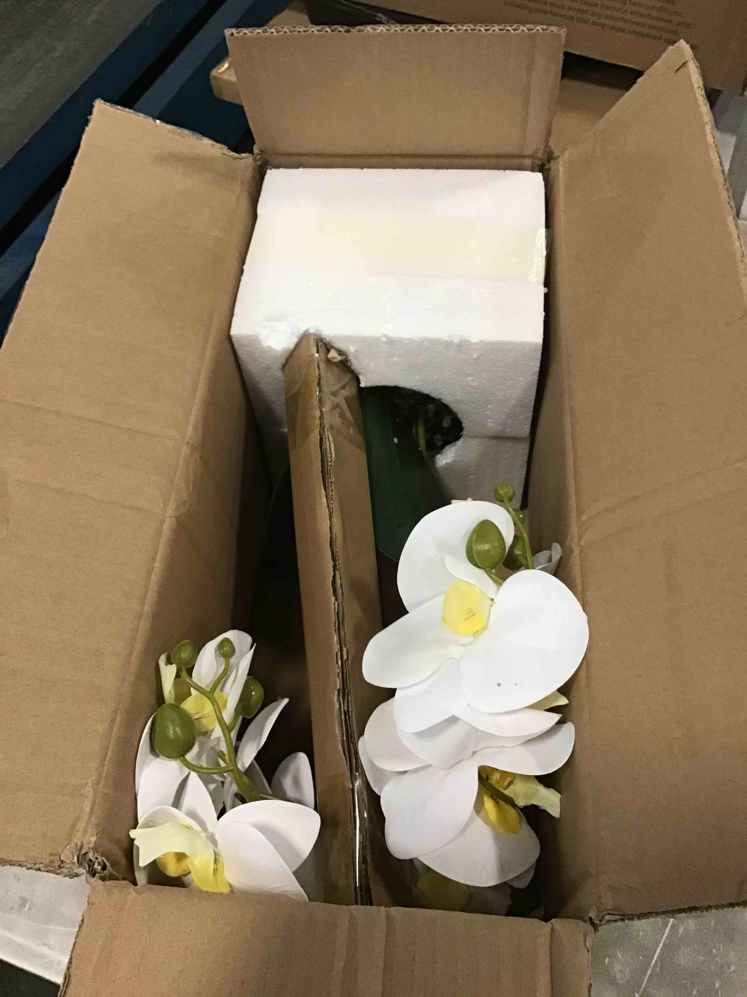https://s3.amazonaws.com/lotting-images-prod/bidfta/PNK0097539_1723517876116.jpeg