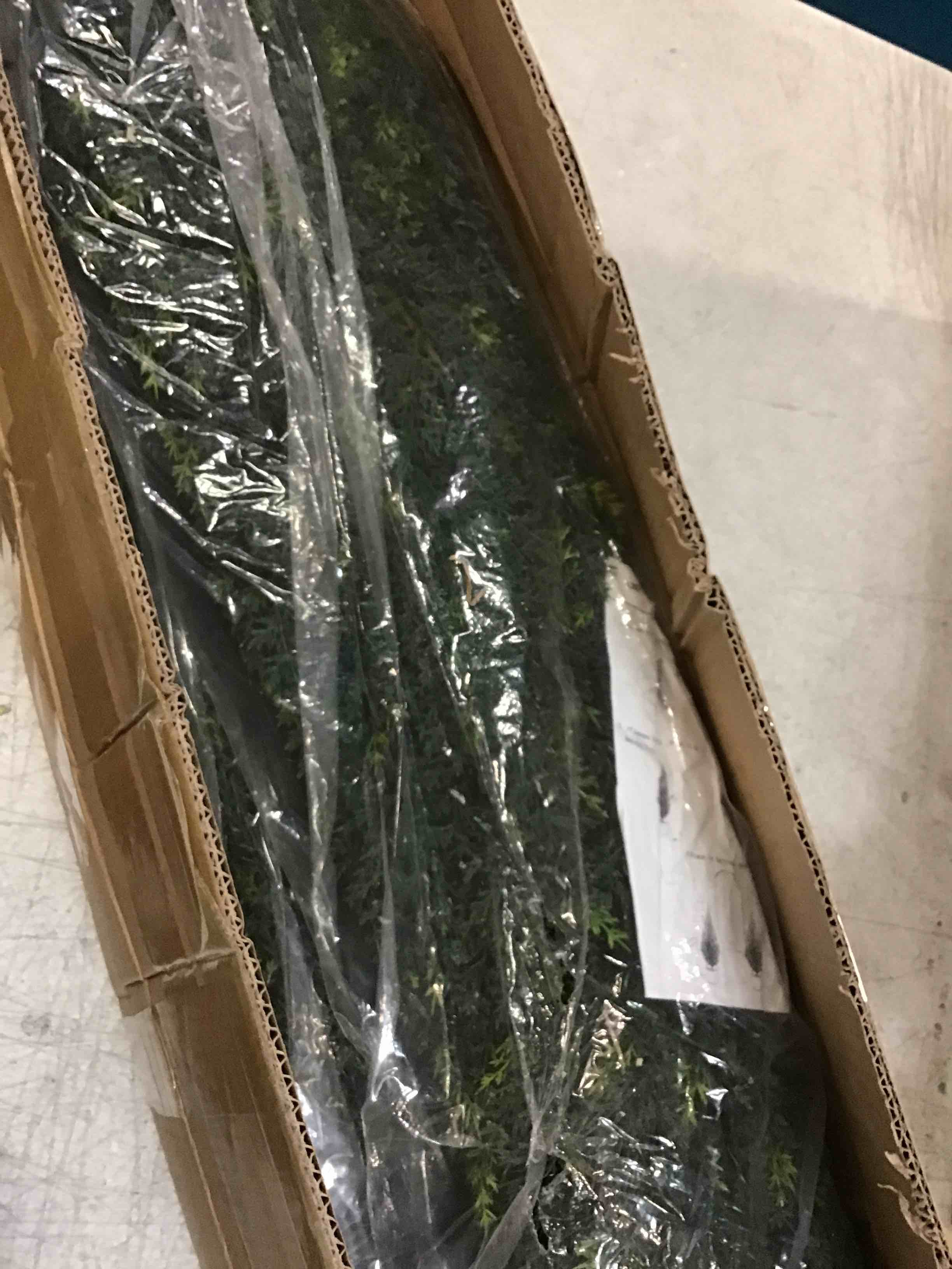 https://s3.amazonaws.com/lotting-images-prod/bidfta/PNK0119232_1724248464149.jpeg