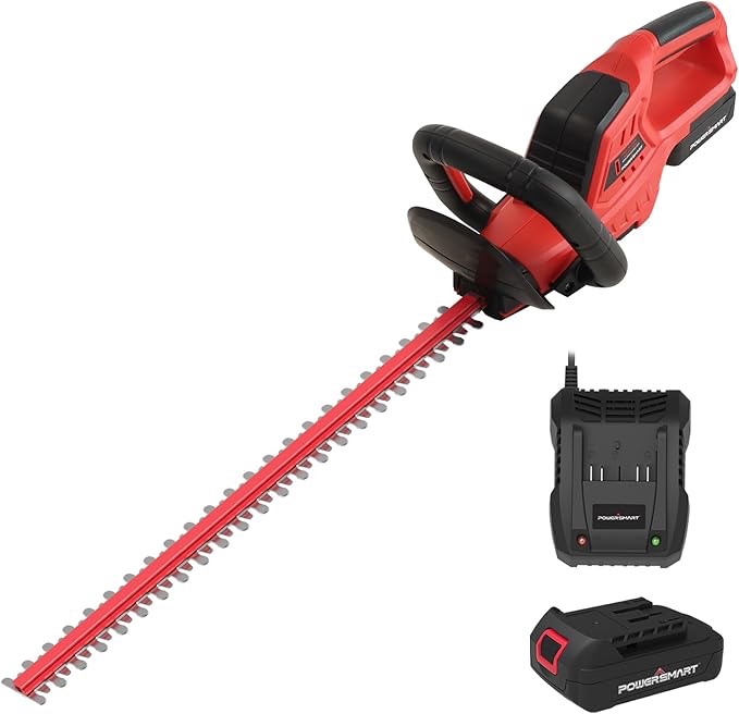 PowerSmart 20V MAX 