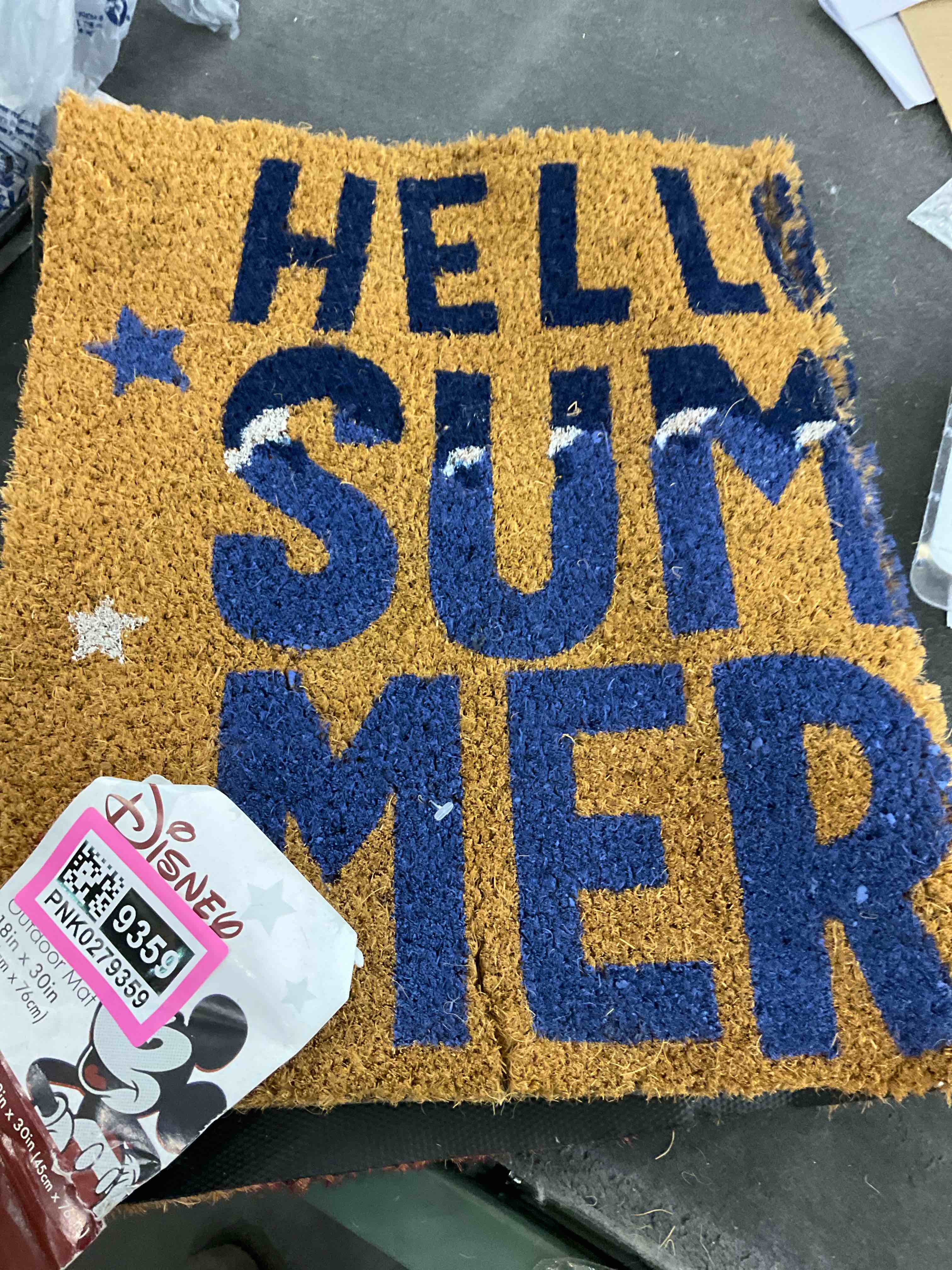 Disney custom outdoor Matt