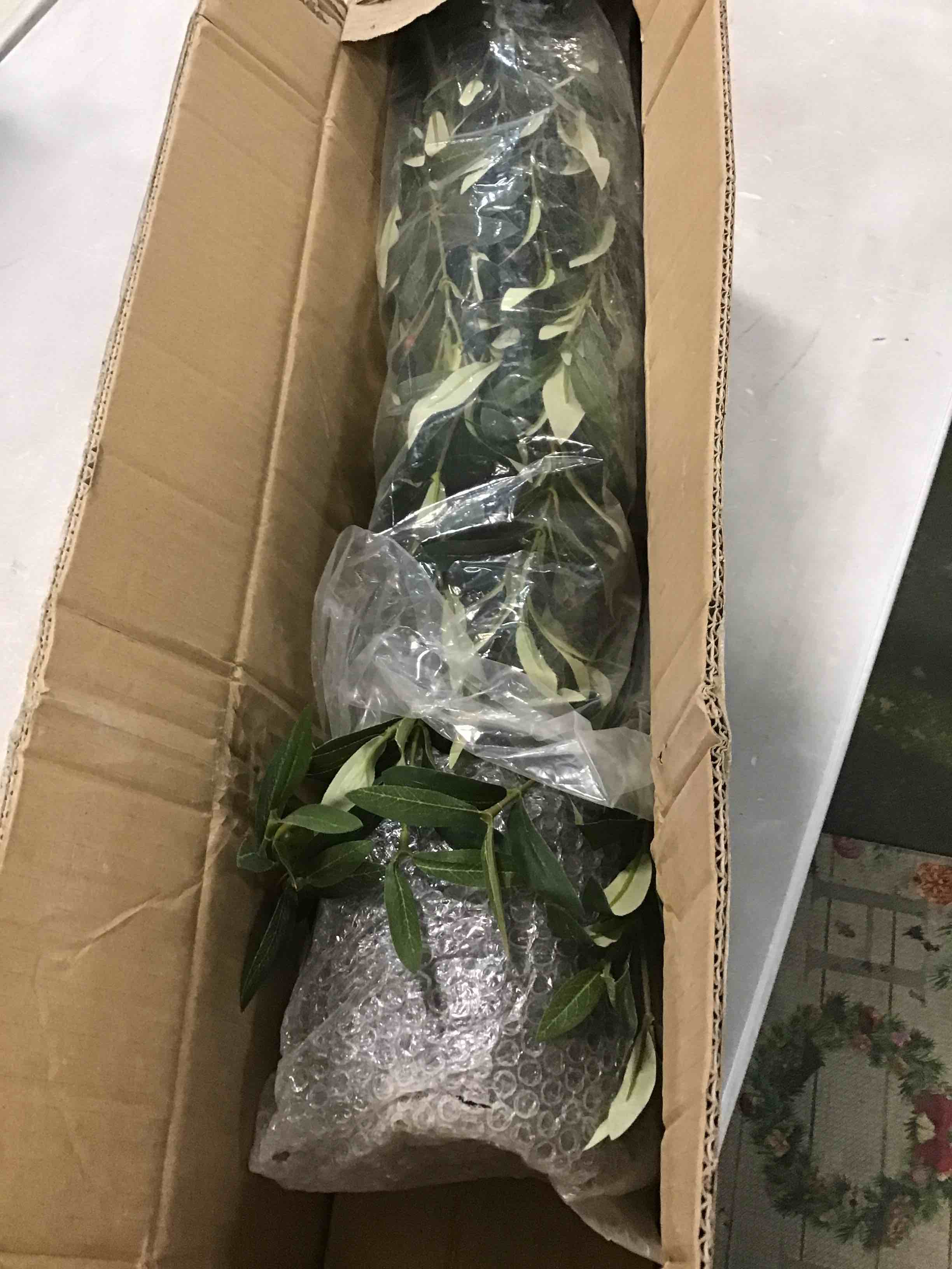 https://s3.amazonaws.com/lotting-images-prod/bidfta/PNK0293510_1727188213926.jpeg