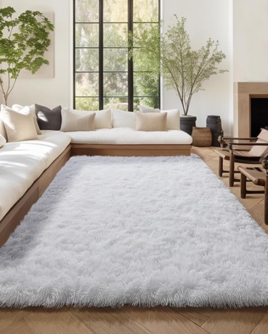 PAGISOFE Soft Comfy White Area Rugs for Bedroom Living Room Fluffy Shag Fur Carpet for Kids Nursery Plush Shaggy Rug Fuzzy Decorative Floor Rugs Contemporary Luxury Large Accent Rug 4' x 6', White