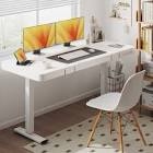 Middlebury Height Adjustable Standing Desk with Drawer and USB Port
