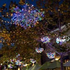 Starburst Lighted Trees & Branches