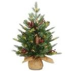 2ft. Nordic Spruce Tree with LED Lights