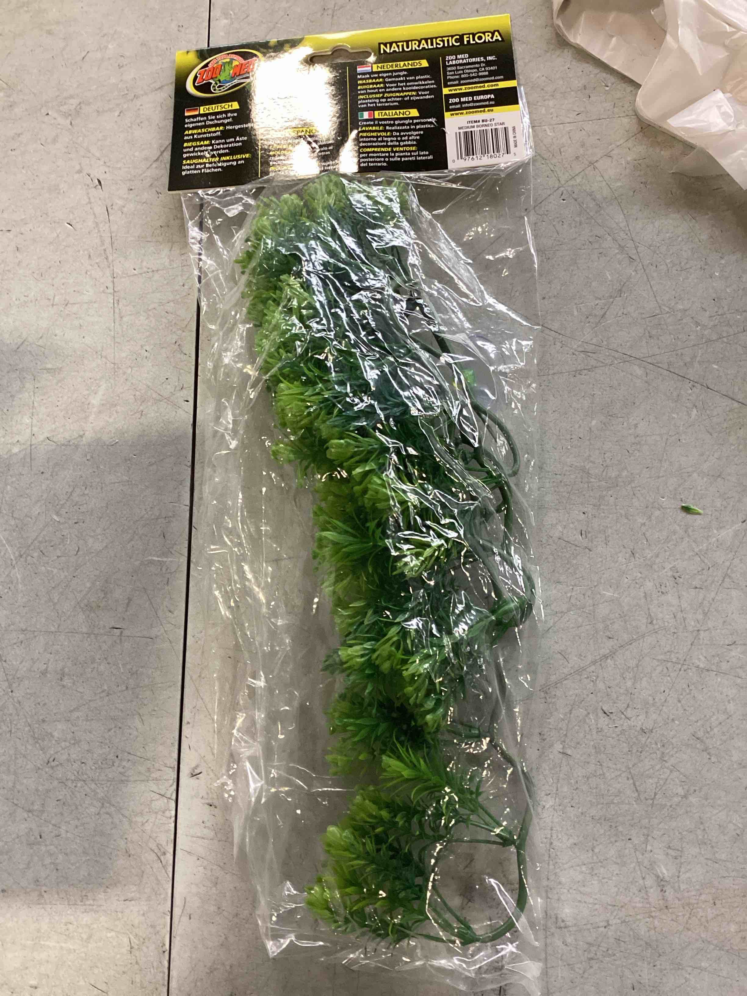 Condition photo showing New/Like New for Premium Zoo Med Naturalistic Flora Borneo Star Terrarium Plant