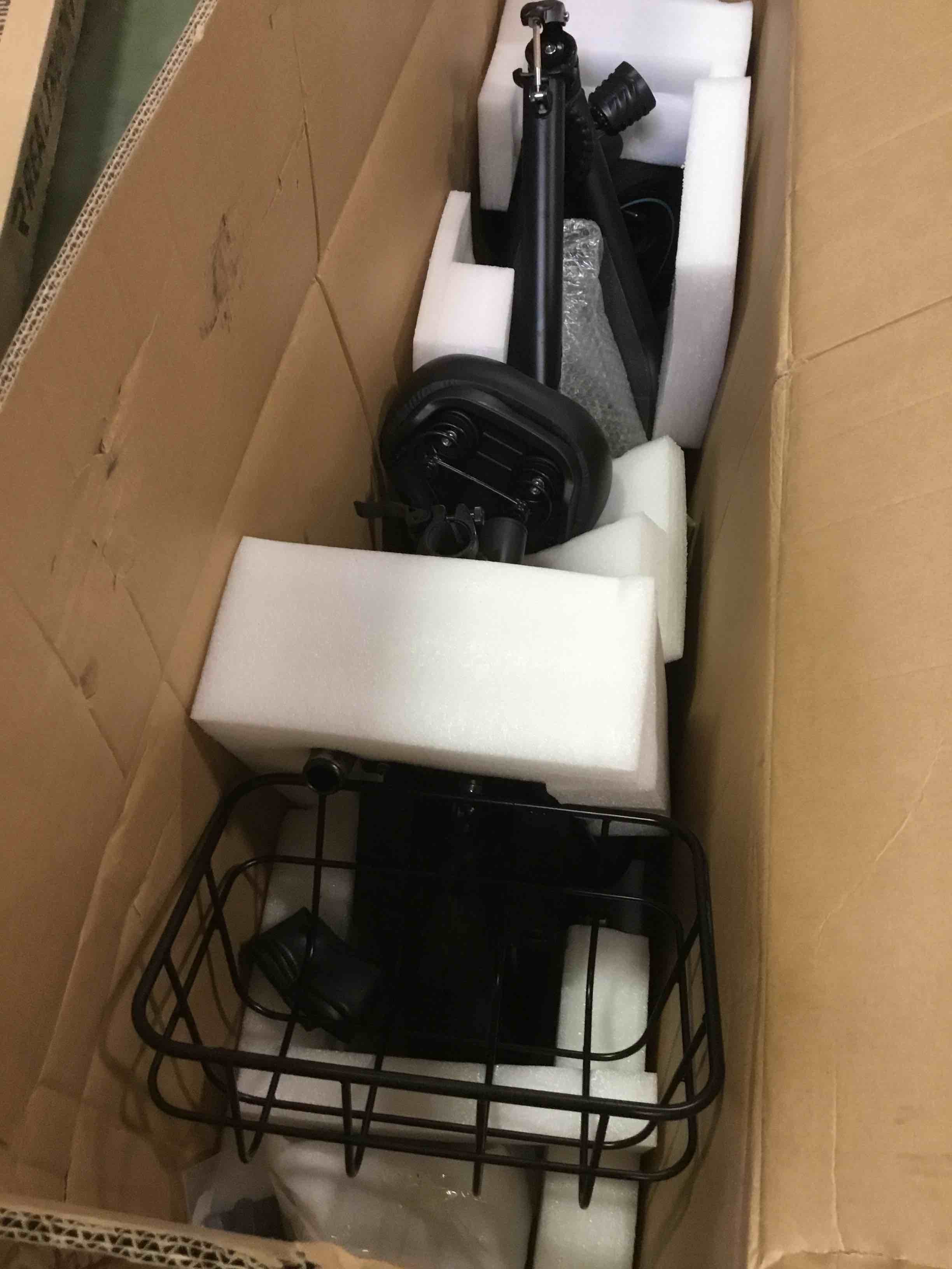 https://s3.amazonaws.com/lotting-images-prod/bidfta/PNK0320705_1728327440256.jpeg