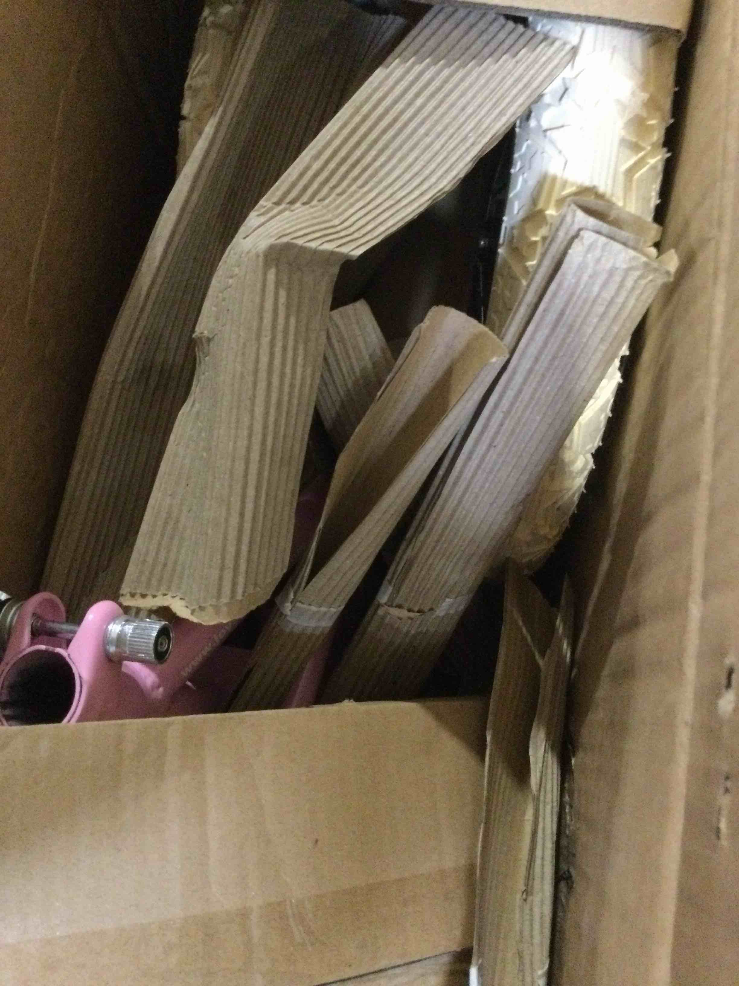 https://s3.amazonaws.com/lotting-images-prod/bidfta/PNK0349528_1729797035084.jpeg