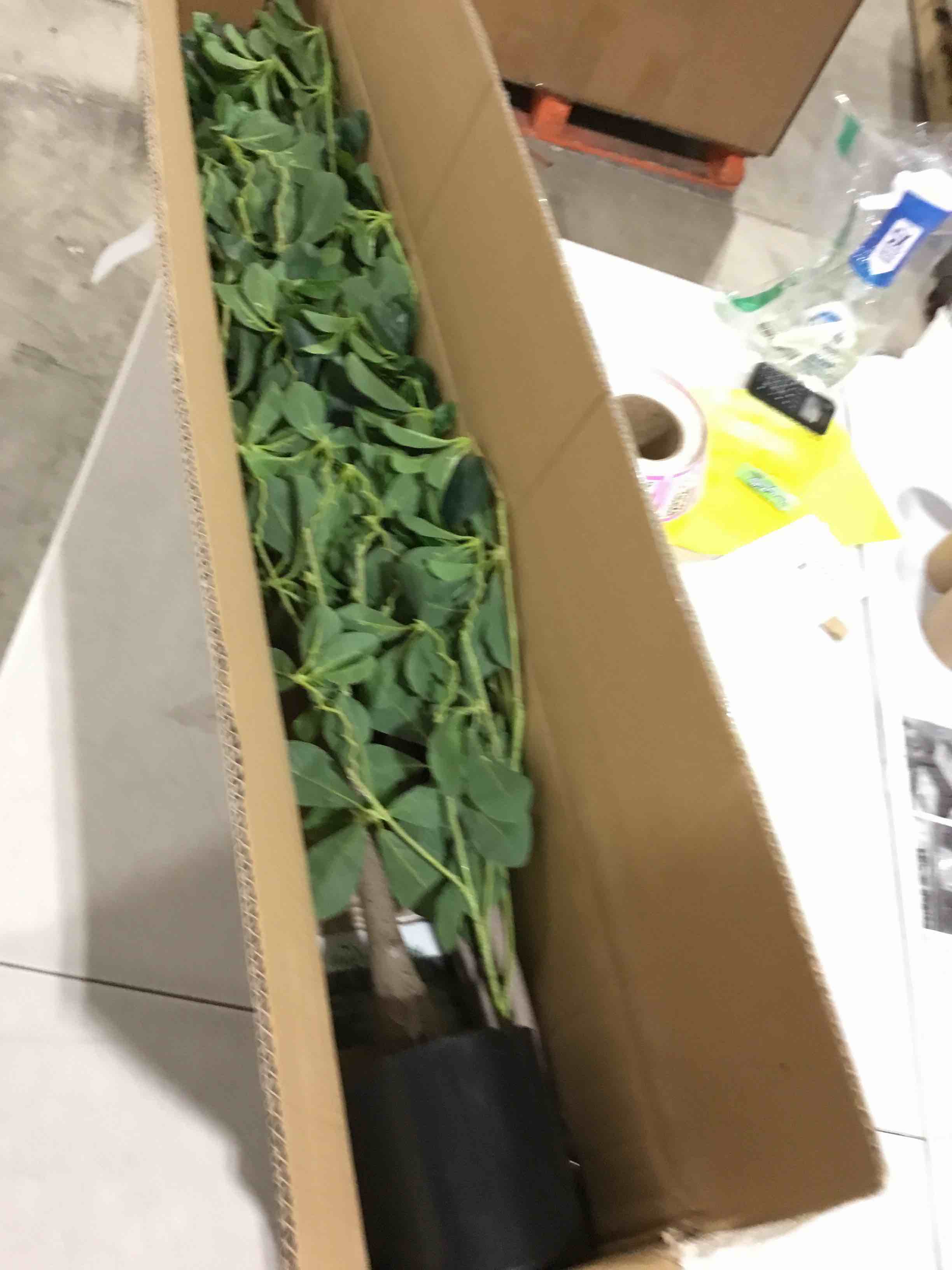 https://s3.amazonaws.com/lotting-images-prod/bidfta/PNK0352964_1731326748944.jpeg