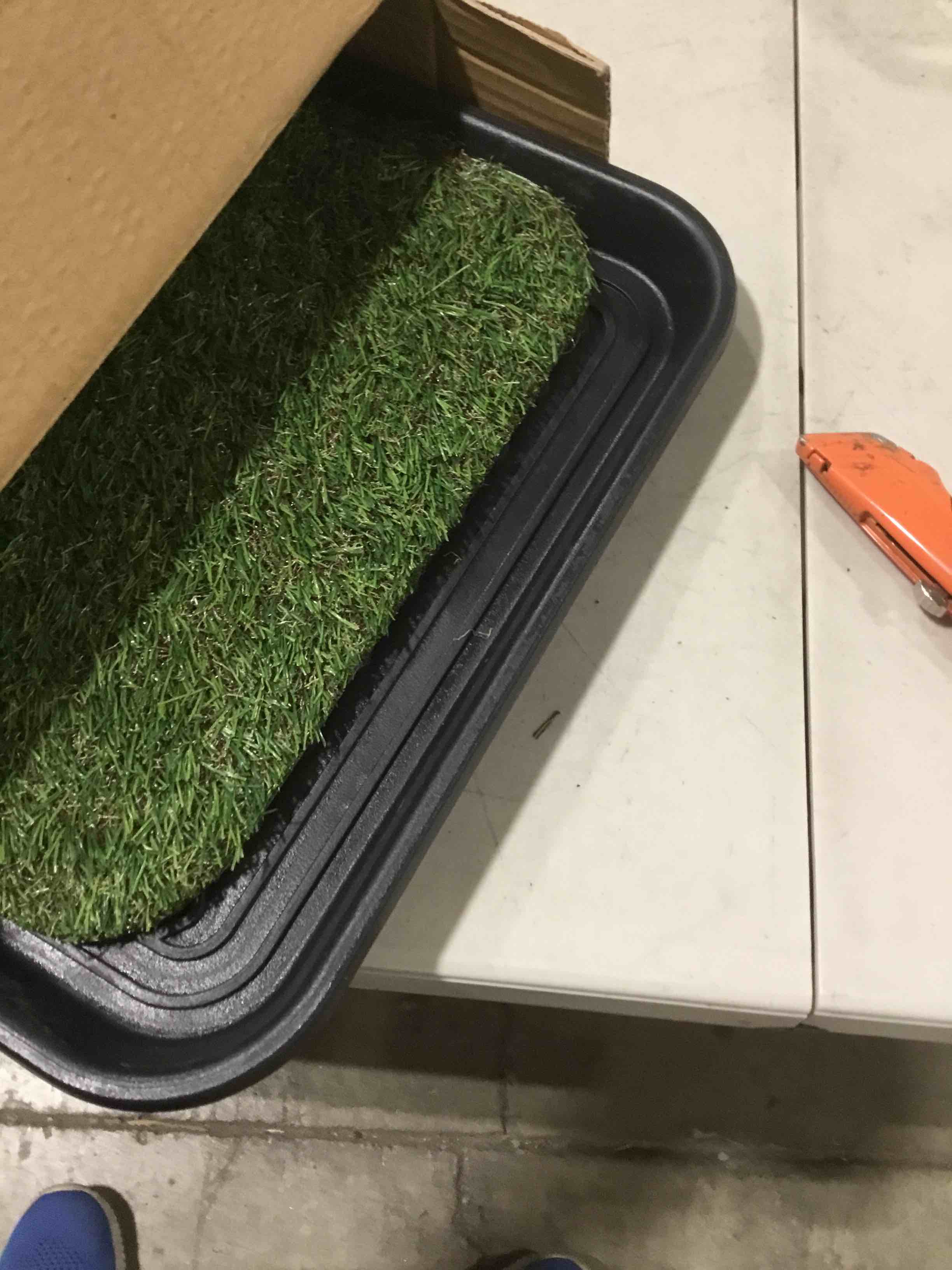 https://s3.amazonaws.com/lotting-images-prod/bidfta/PNK0354795_1730399826059.jpeg