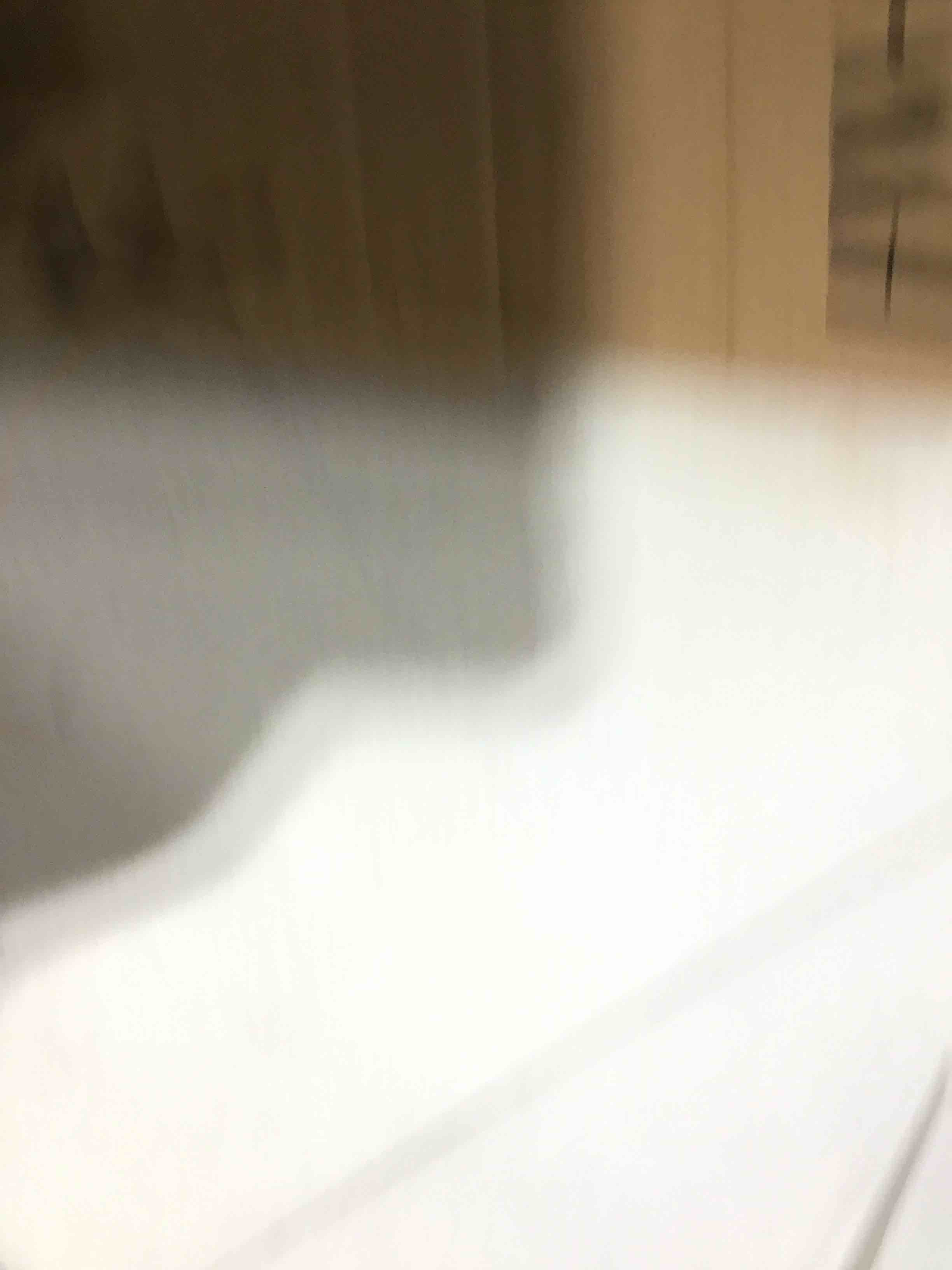https://s3.amazonaws.com/lotting-images-prod/bidfta/PNK0361554_1730212045659.jpeg