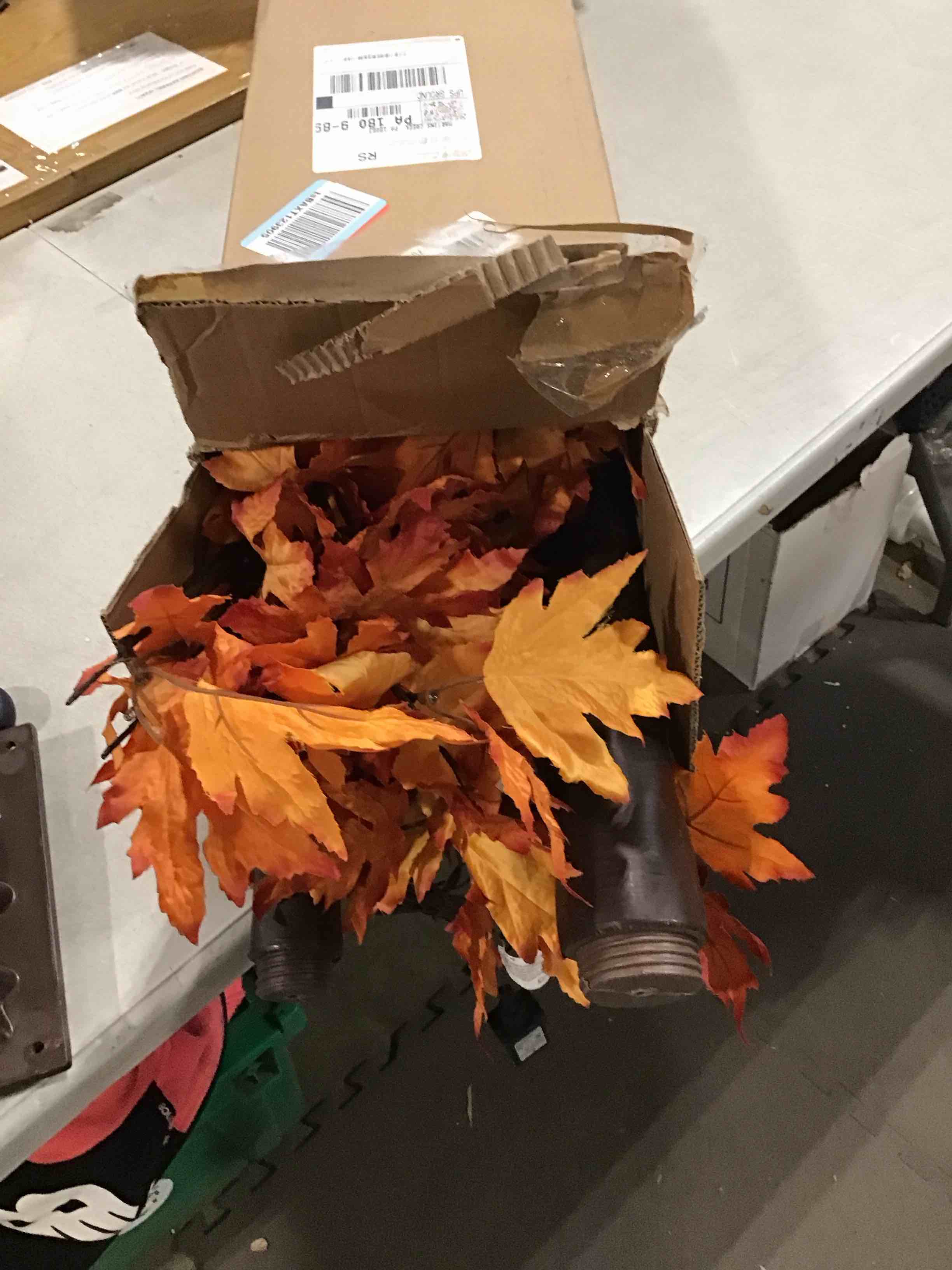 https://s3.amazonaws.com/lotting-images-prod/bidfta/PNK0364032_1731004412763.jpeg