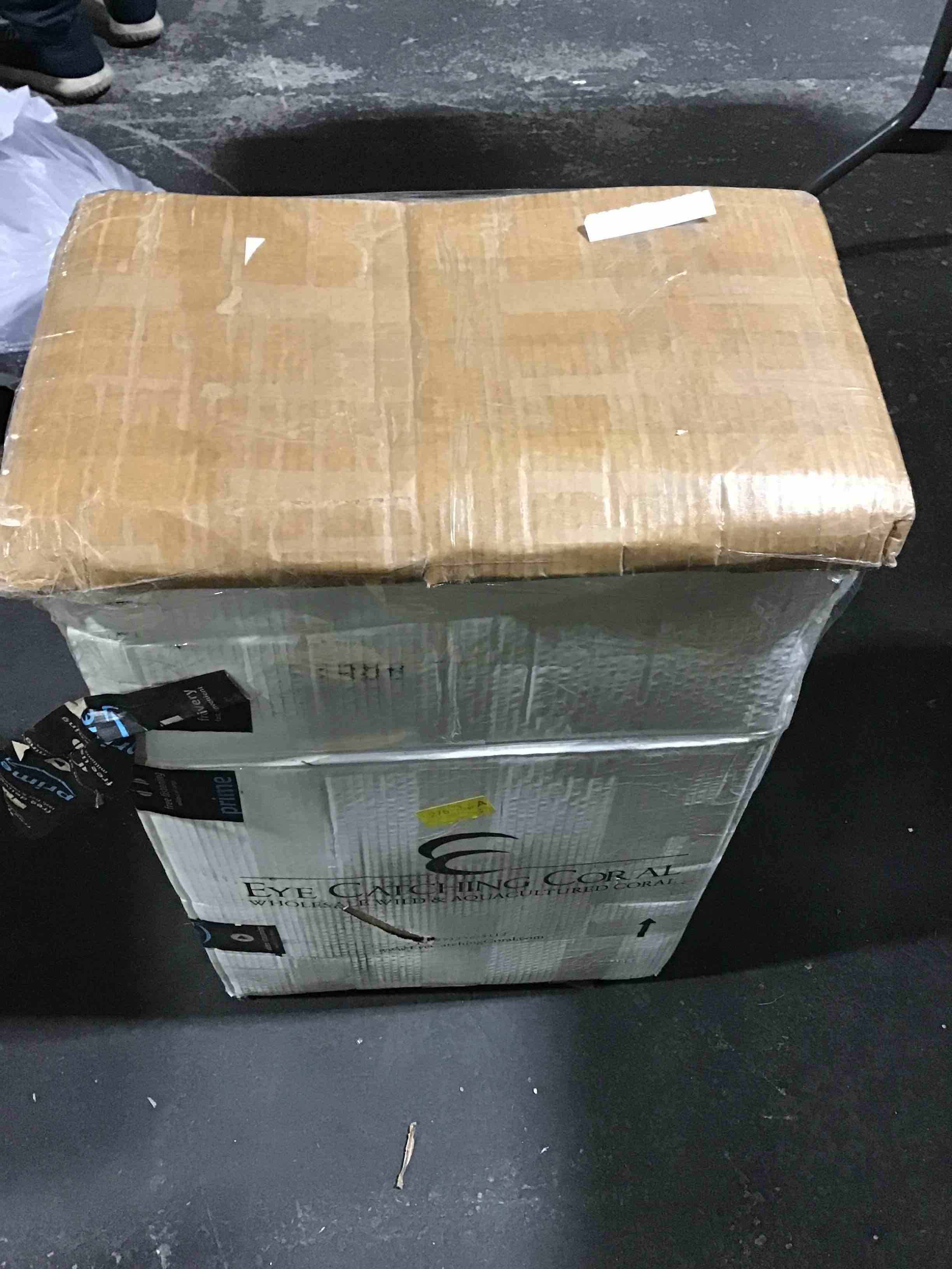 https://s3.amazonaws.com/lotting-images-prod/bidfta/PNK0438902_1730204580504.jpeg