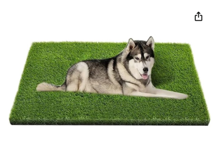 Artificial Grass, Professional Dog Grass Mat, Potty Training Rug and Replacement Artificial Grass Turf, Large Turf Outdoor Rug Patio Lawn Decoration, Easy to Clean with Drainage Holes (48x32 inch)