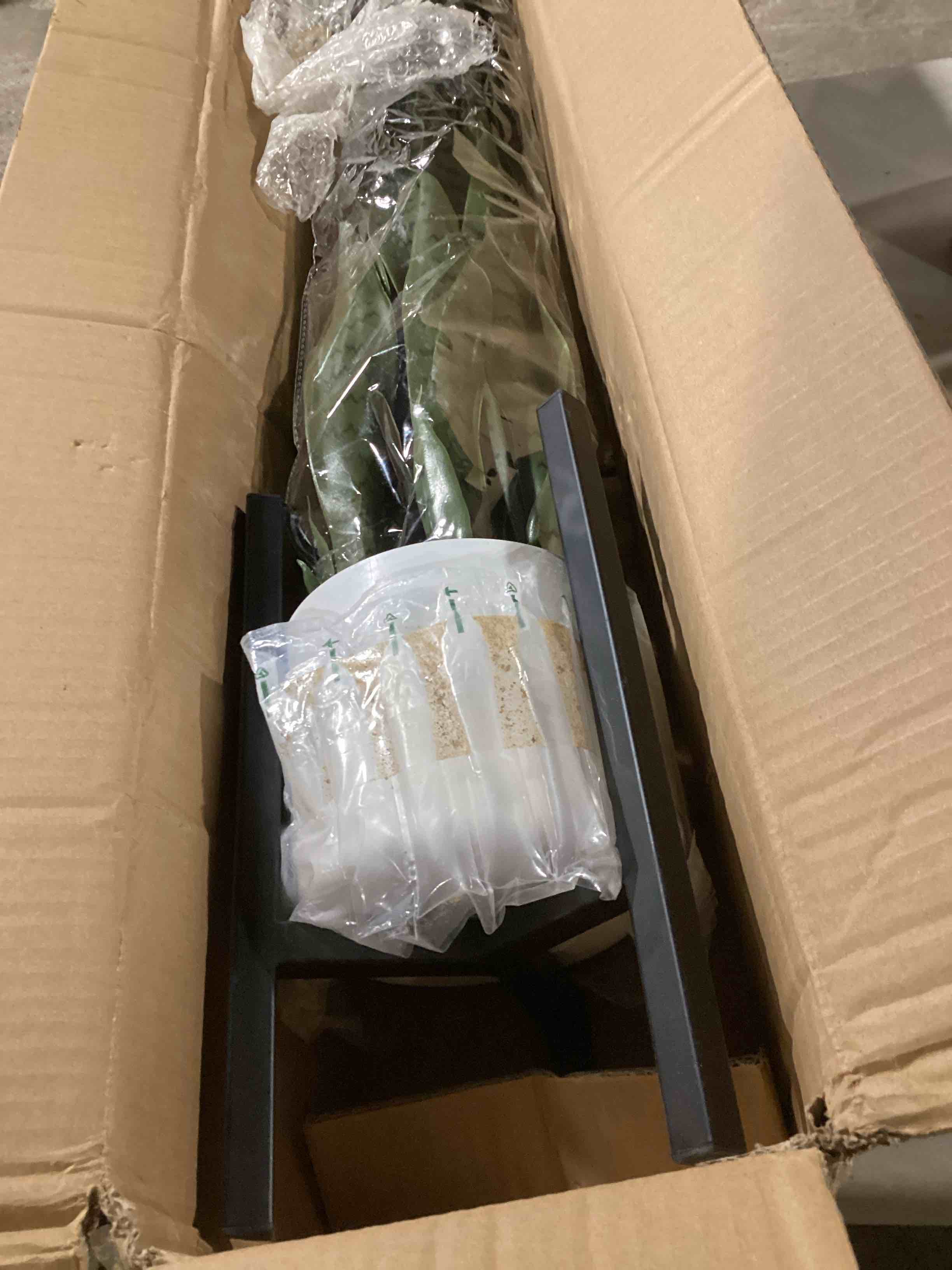 https://s3.amazonaws.com/lotting-images-prod/bidfta/PNK0452855_1729797463657.jpeg