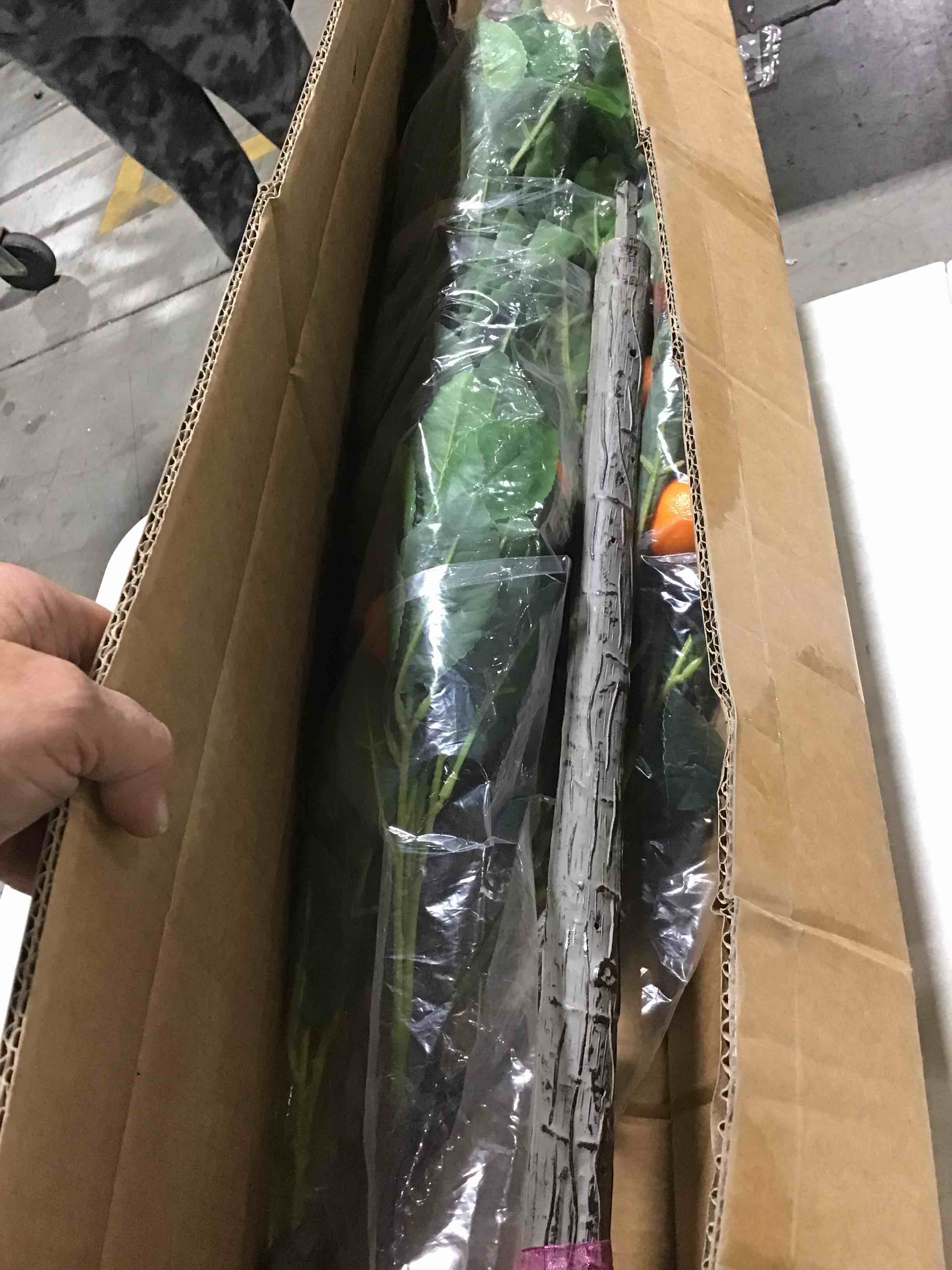 https://s3.amazonaws.com/lotting-images-prod/bidfta/PNK0454320_1731356857245.jpeg