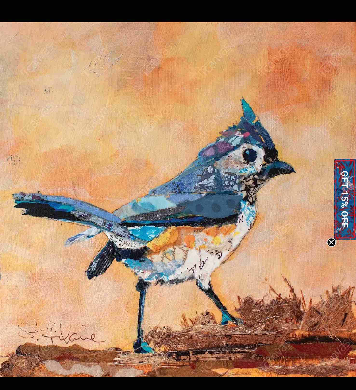 Tufted Titmouse - Canvas Print