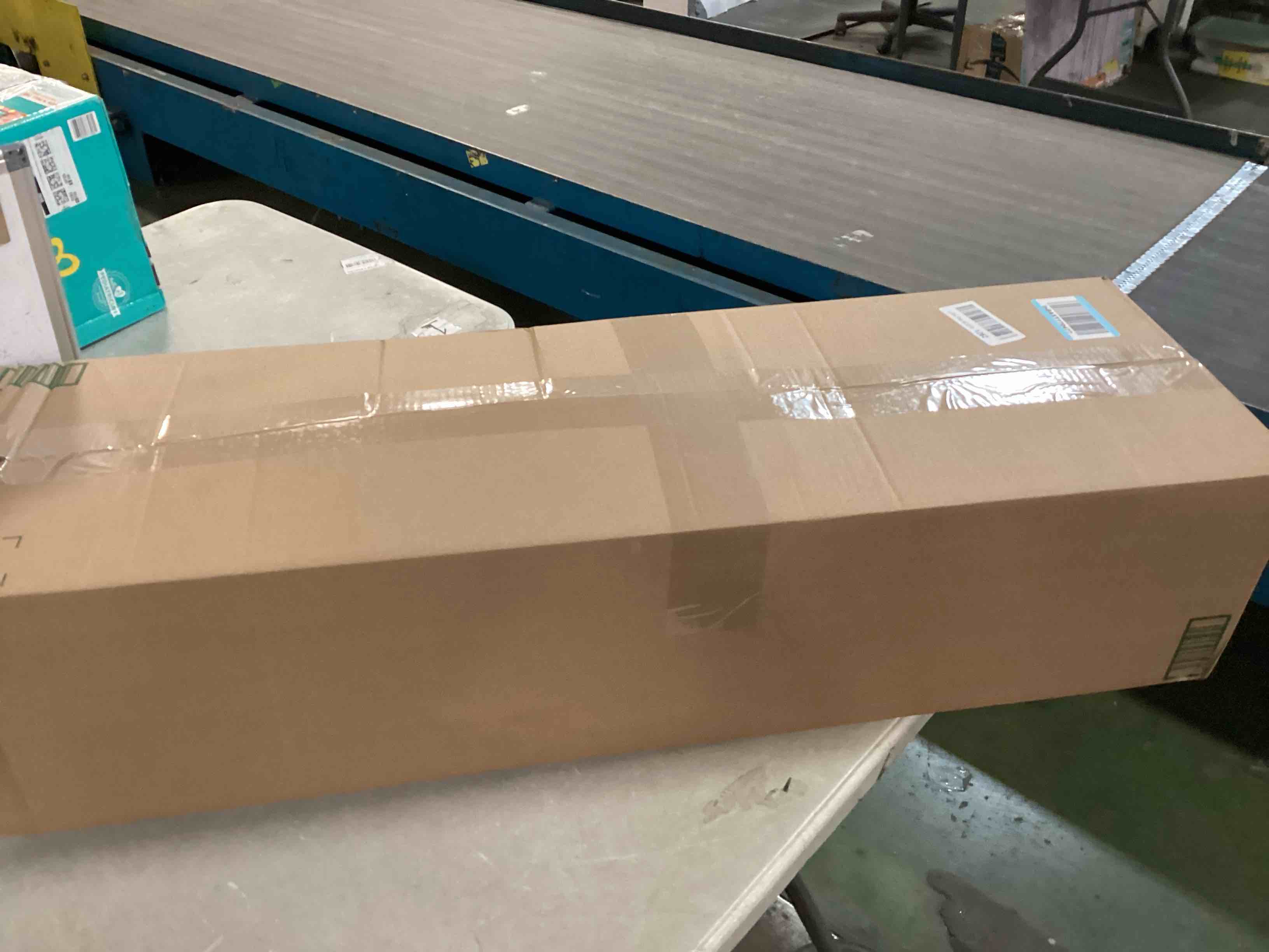 WhiteFang Skateboards for Beginners, Complete Skateboard 31 x 7.88, 7