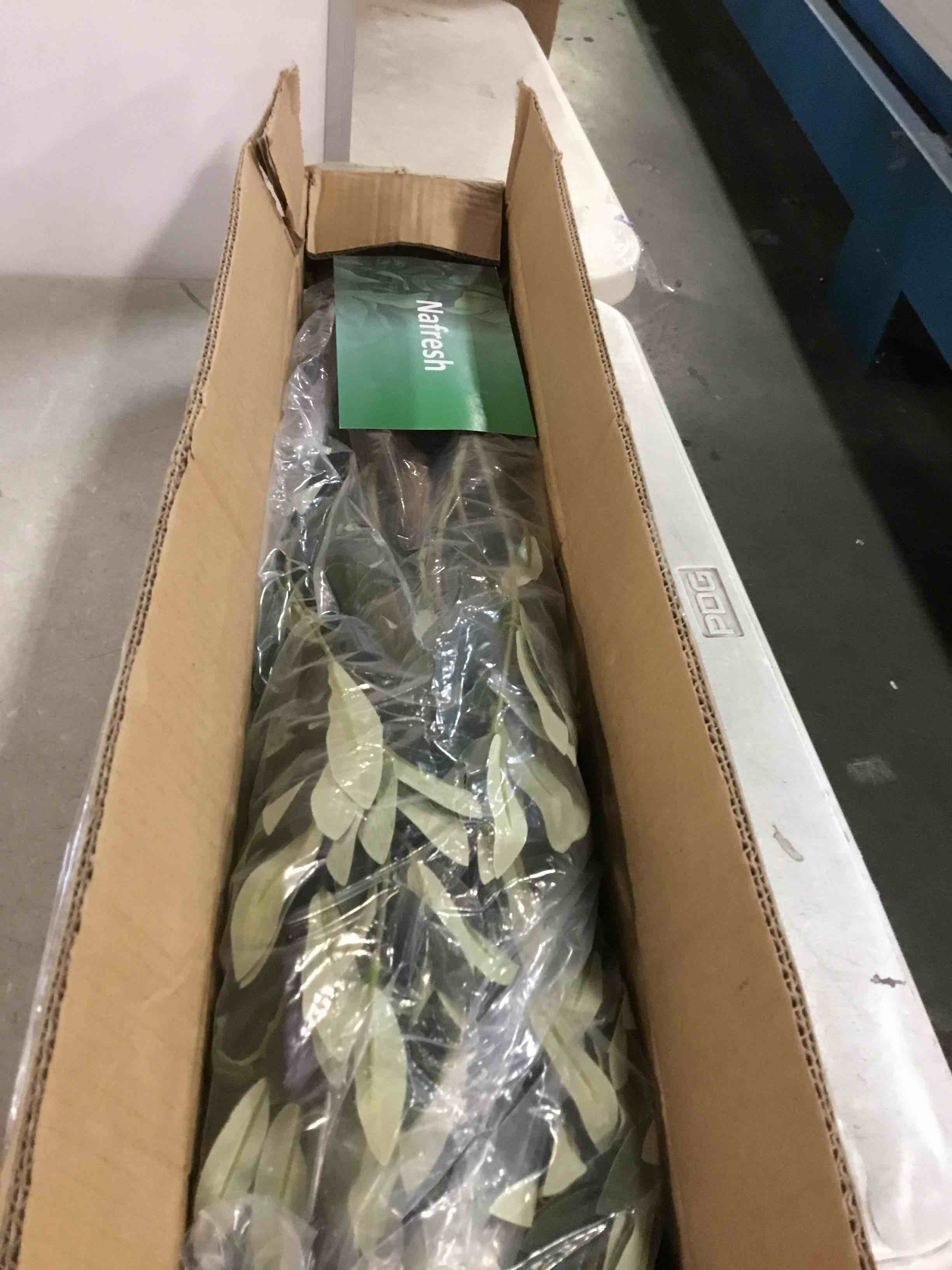 https://s3.amazonaws.com/lotting-images-prod/bidfta/PNK0477578_1729564587776.jpeg