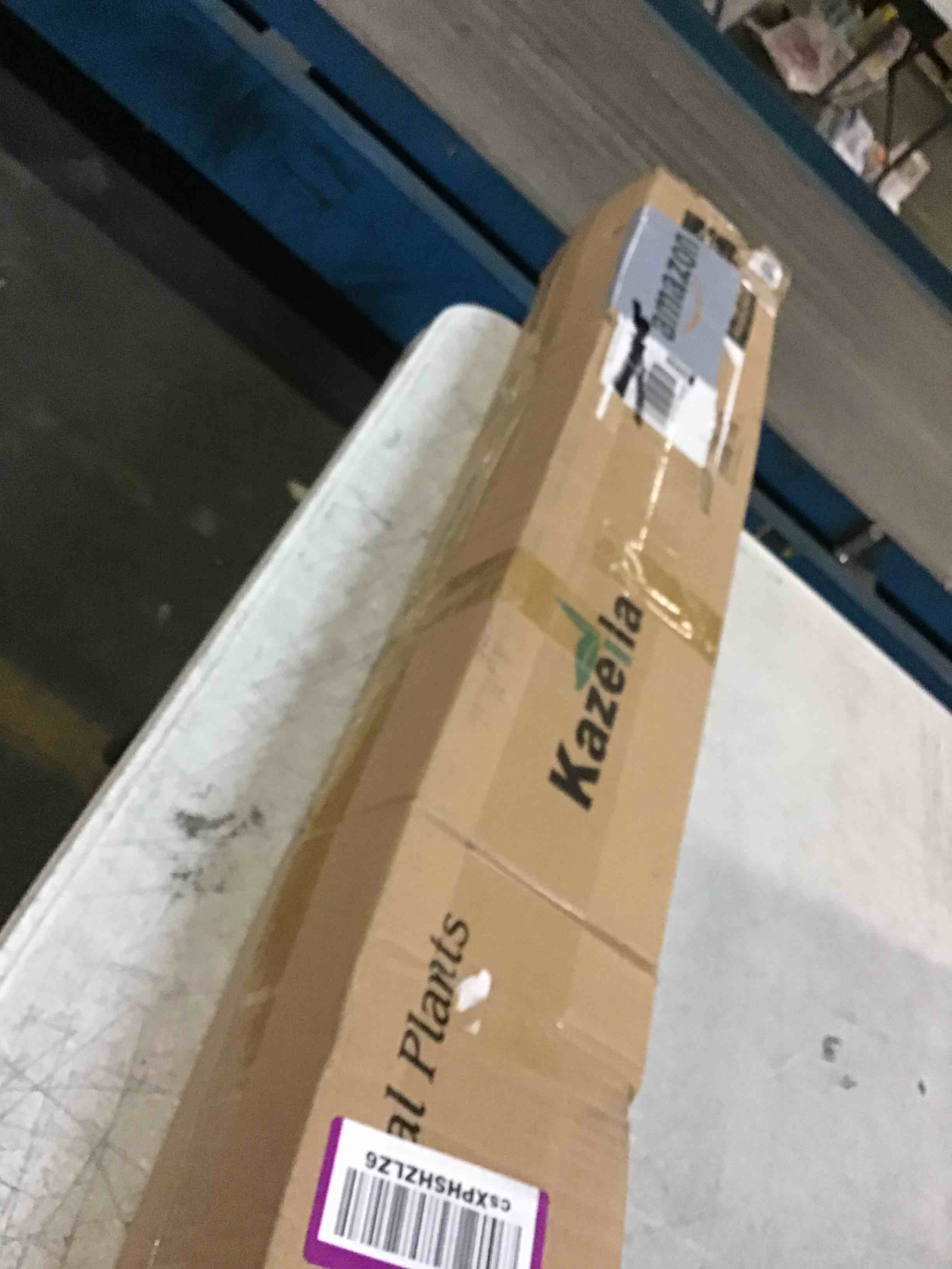 https://s3.amazonaws.com/lotting-images-prod/bidfta/PNK0480381_1729337071312.jpeg