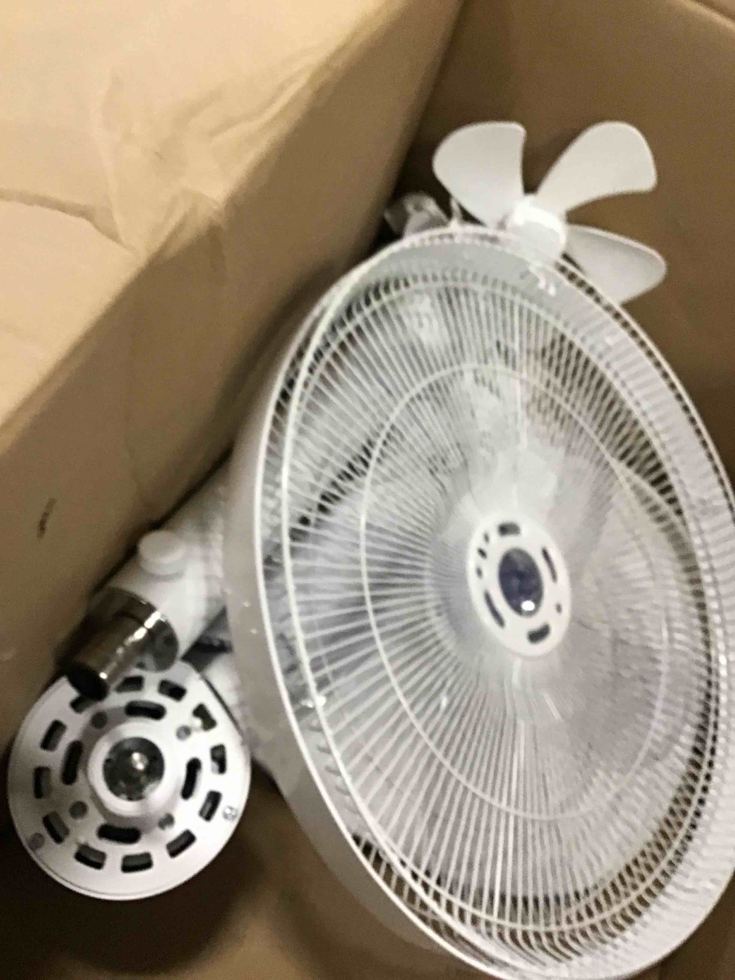 https://s3.amazonaws.com/lotting-images-prod/bidfta/PNK0481014_1729188667018.jpeg