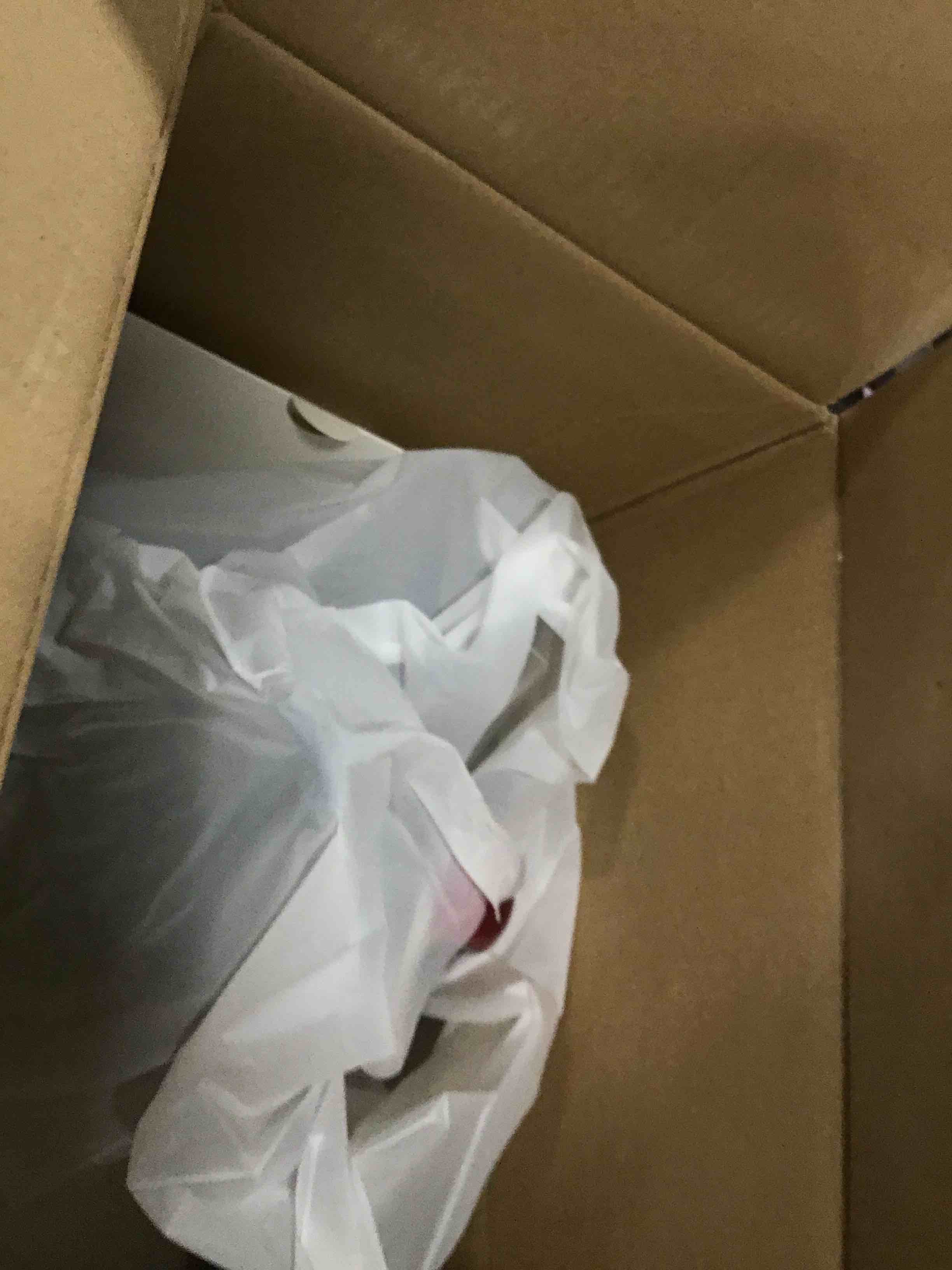 https://s3.amazonaws.com/lotting-images-prod/bidfta/PNK0503466_1730461441228.jpeg