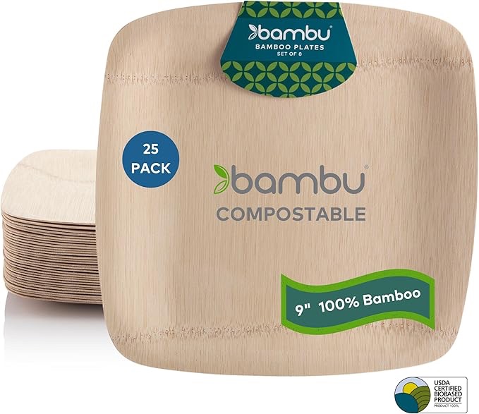 Case of 3, Bambu Pack of 25-9 Inch Disposable Bamboo Plates Square, Biodegradable Eco Friendly Products, Bamboo Disposable Plates for Events, Compostable Plate