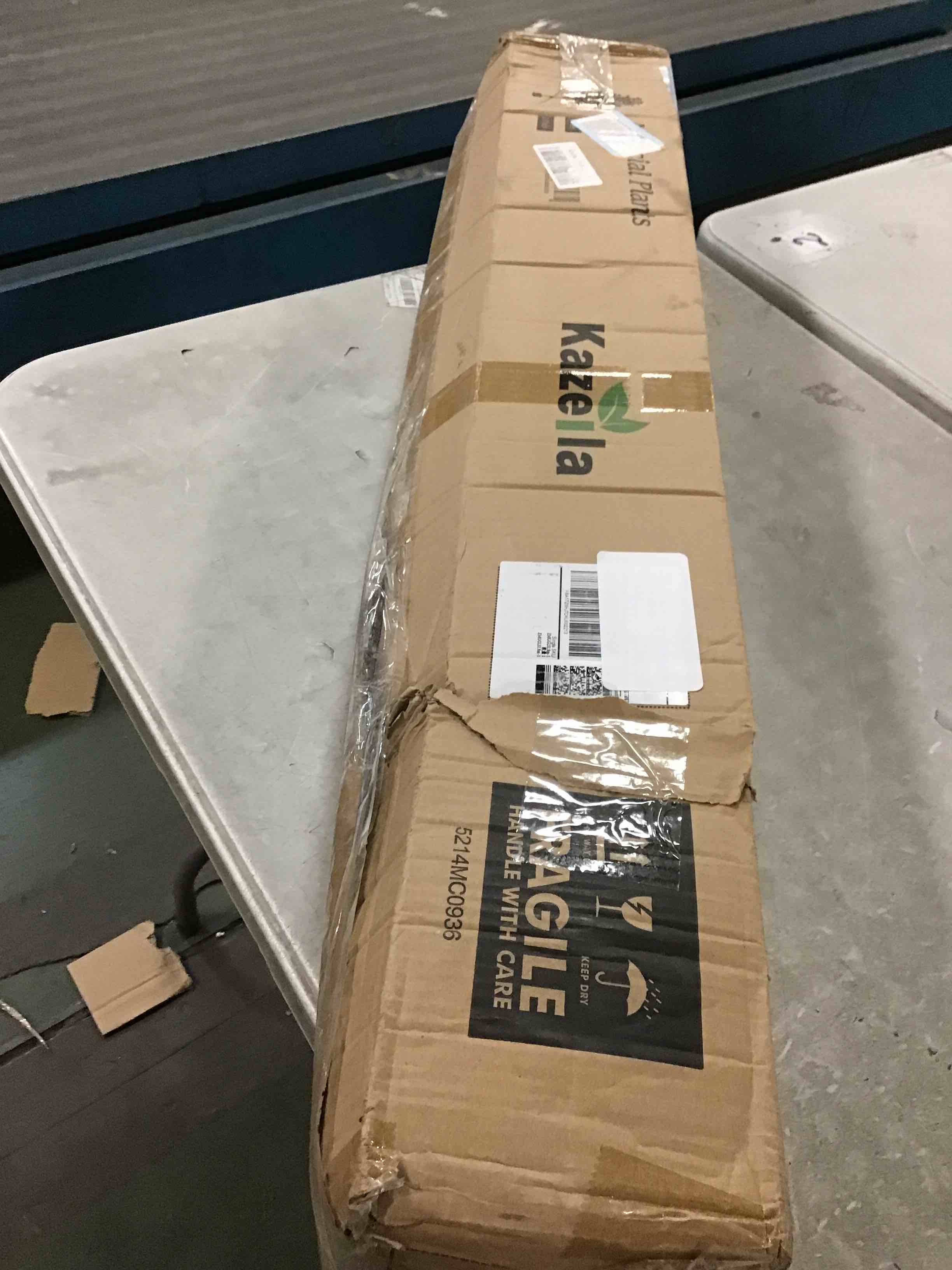 https://s3.amazonaws.com/lotting-images-prod/bidfta/PNK0516408_1730343159144.jpeg